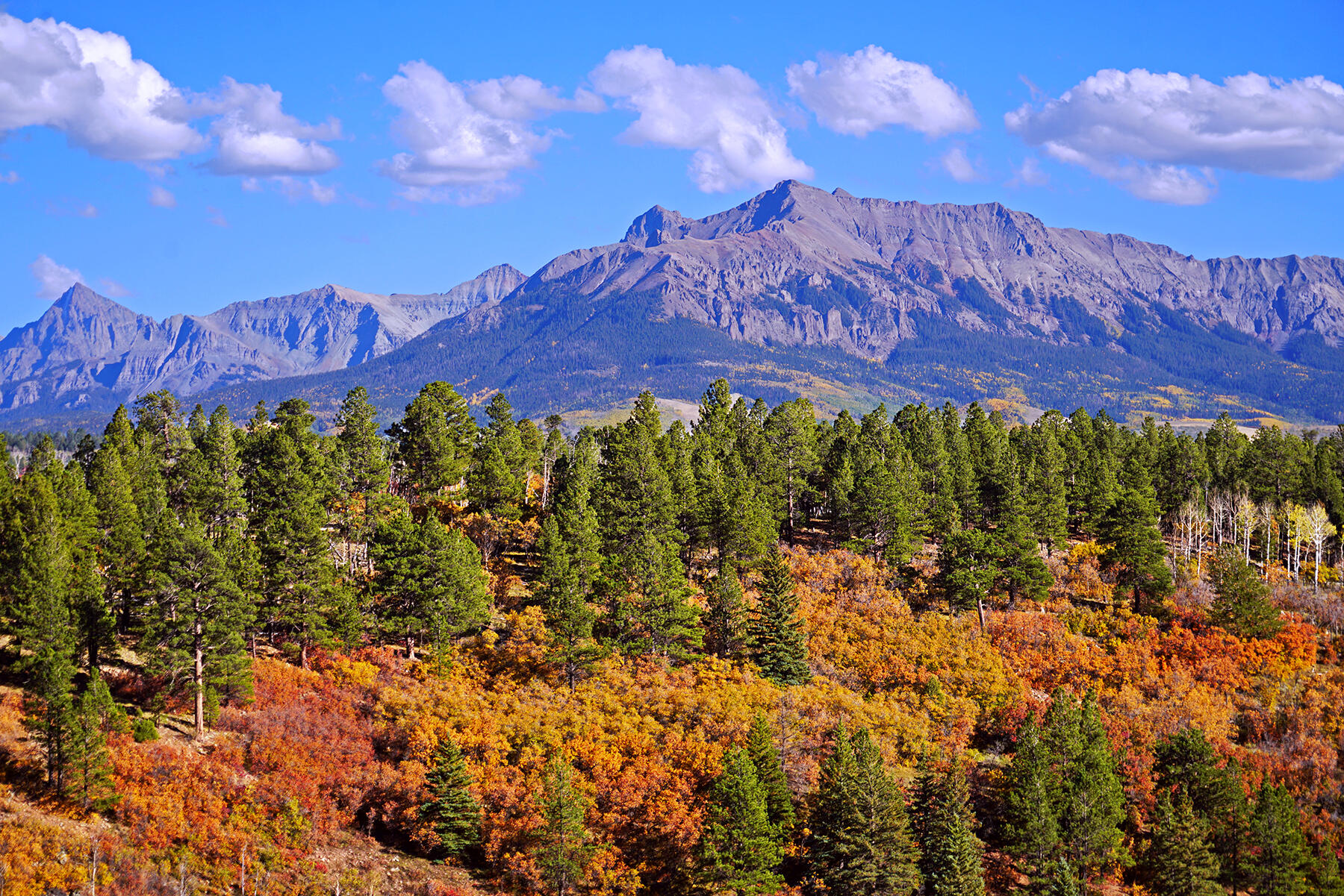 1250 Mckenzie Springs Road Property Photo 53