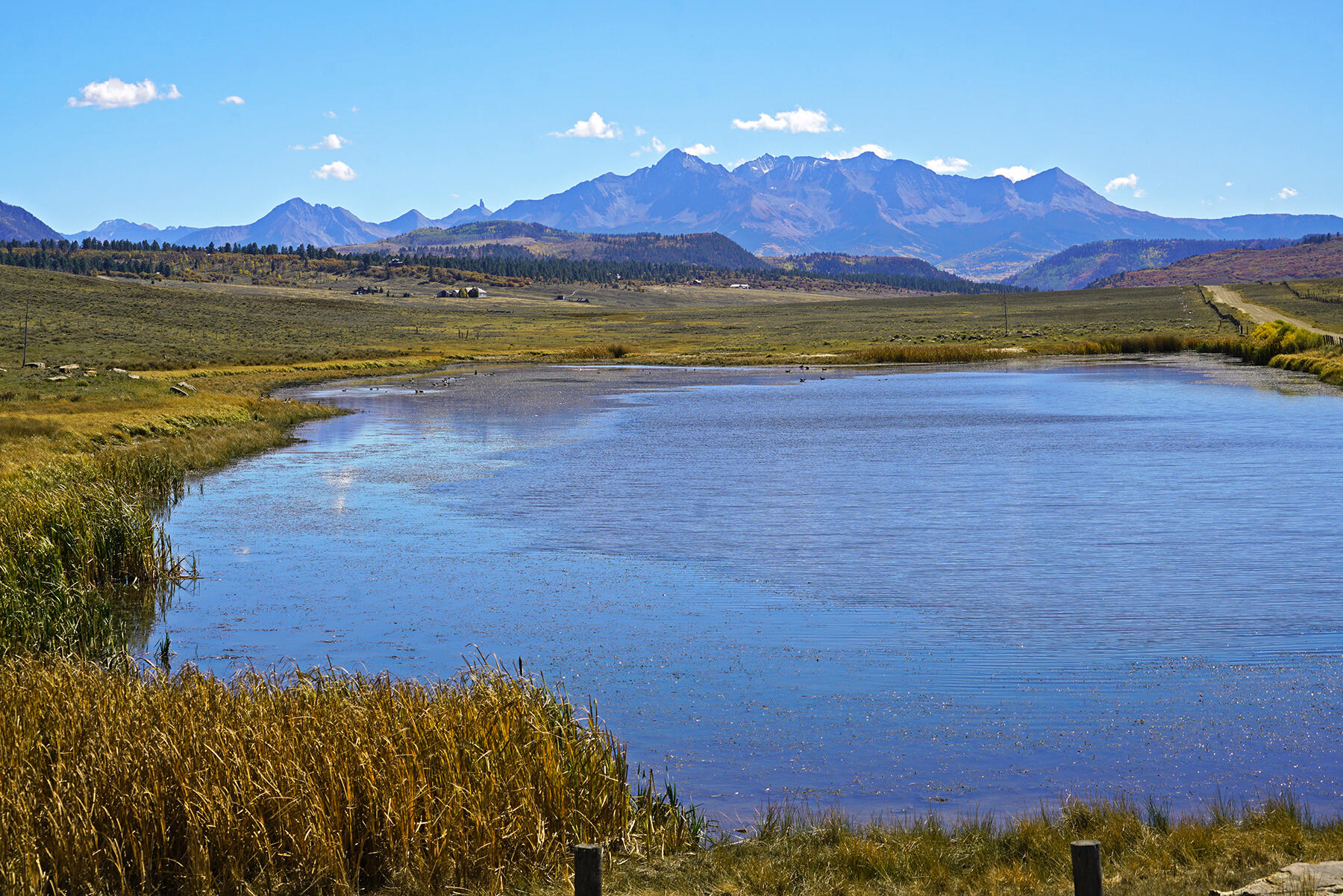 1250 Mckenzie Springs Road Property Photo 57