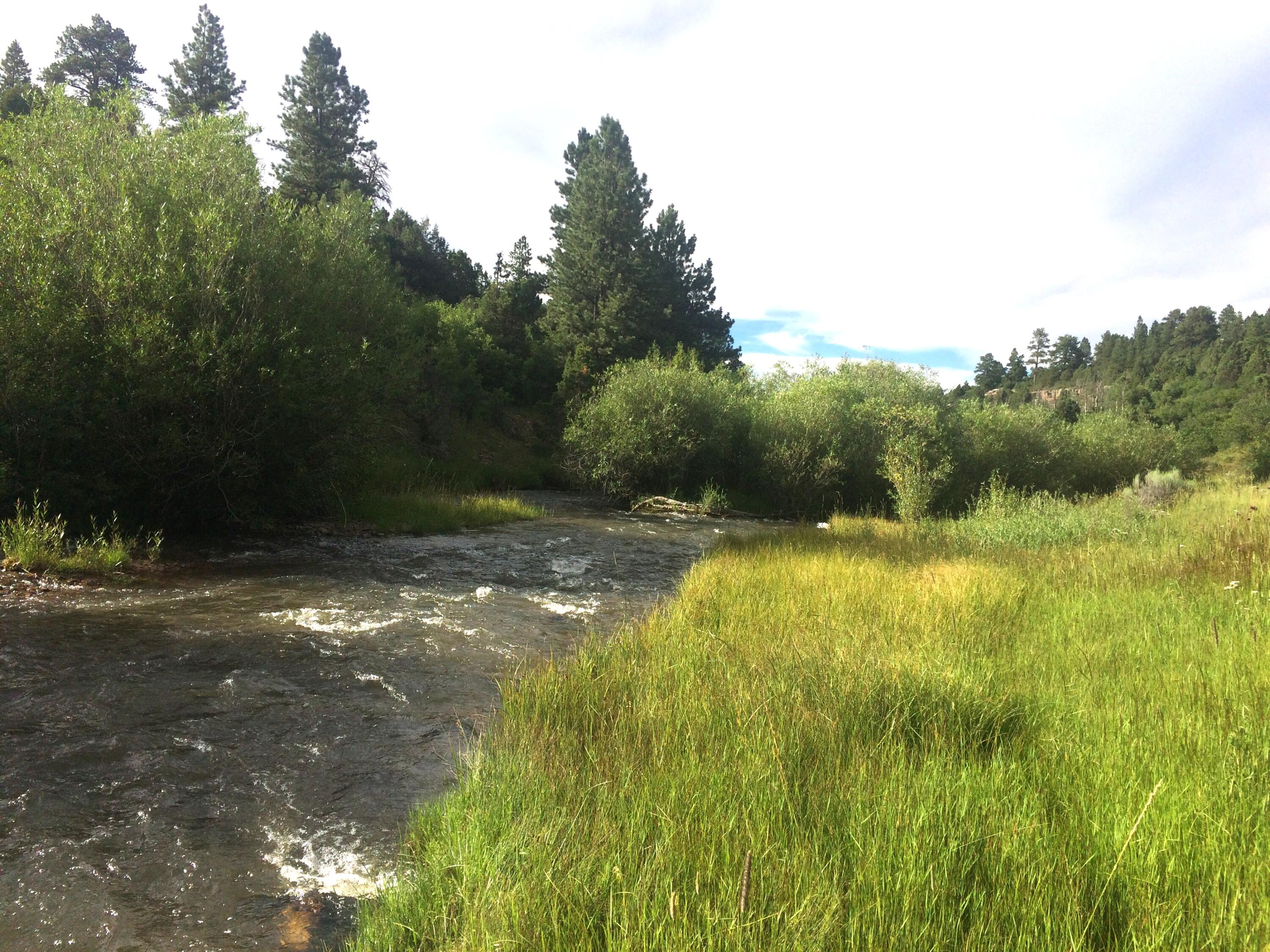 2a W Beaver Pines Loop Property Photo 1