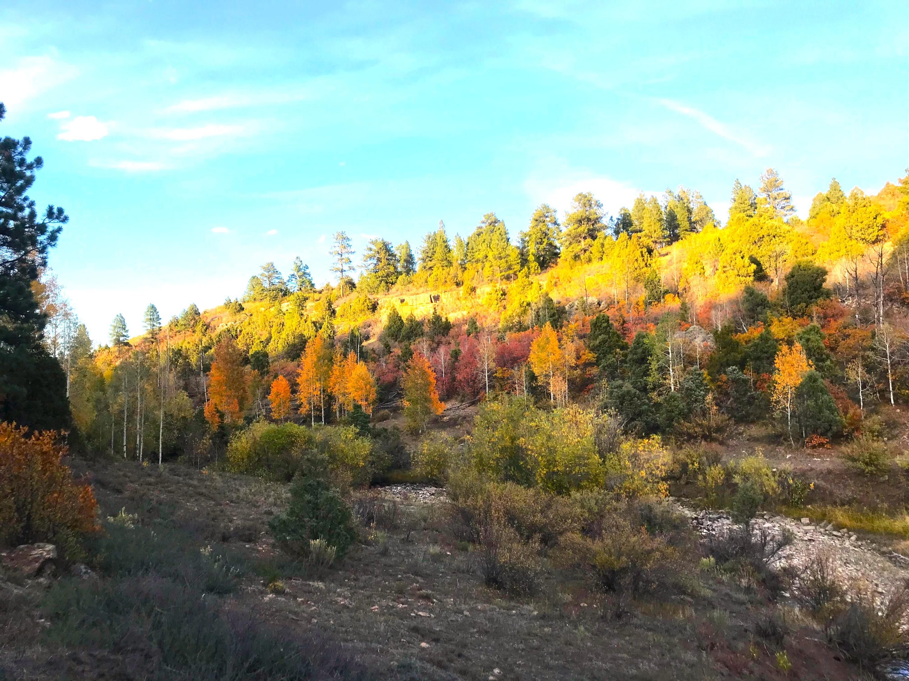 2a W Beaver Pines Loop Property Photo 4