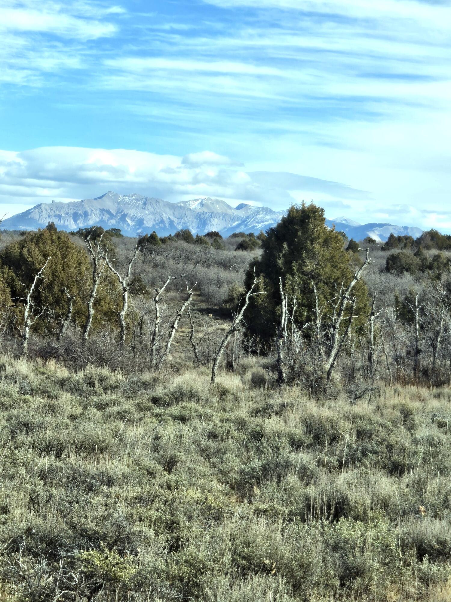 2a W Beaver Pines Loop Property Photo 6