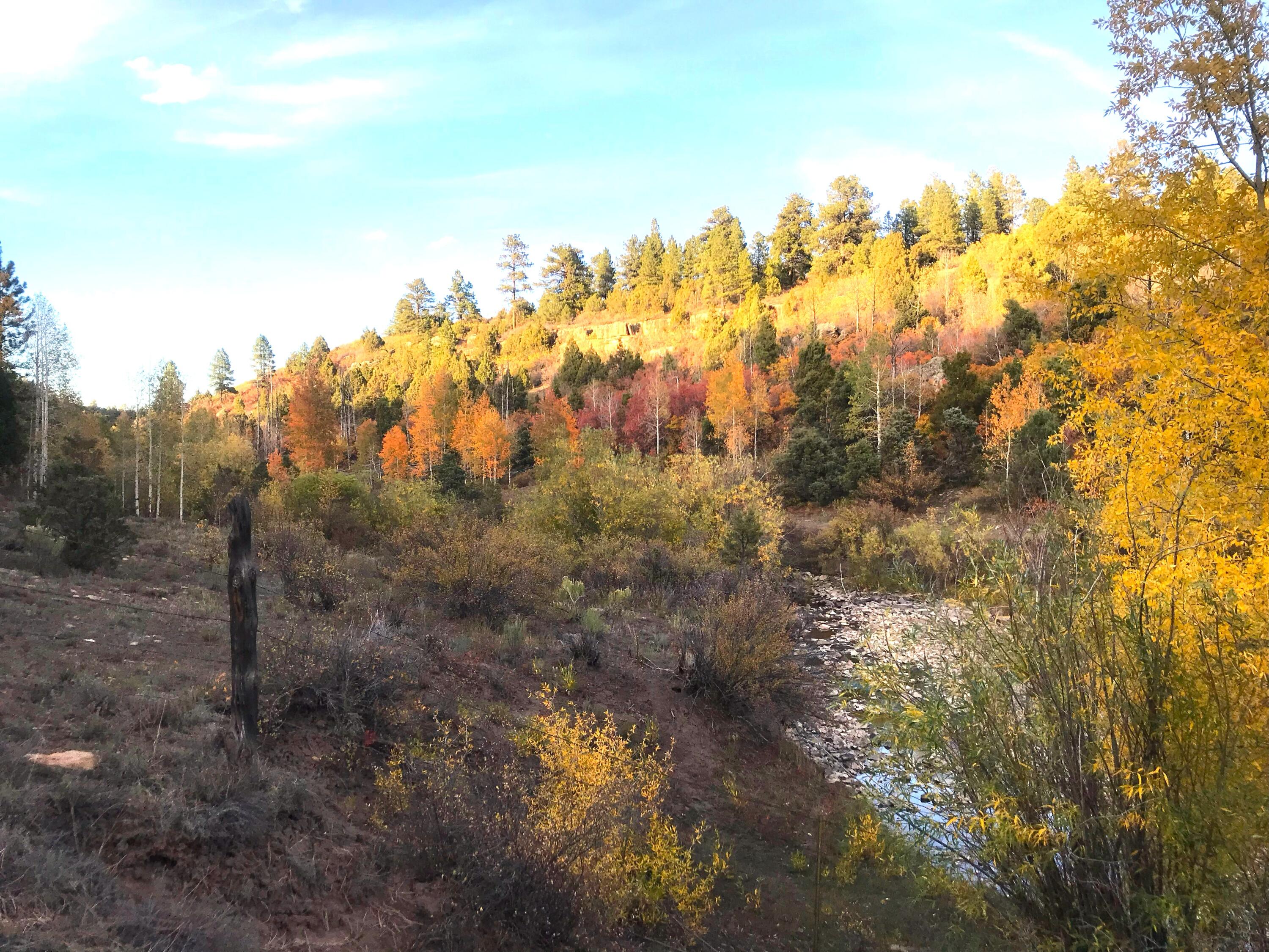 2a W Beaver Pines Loop Property Photo 11