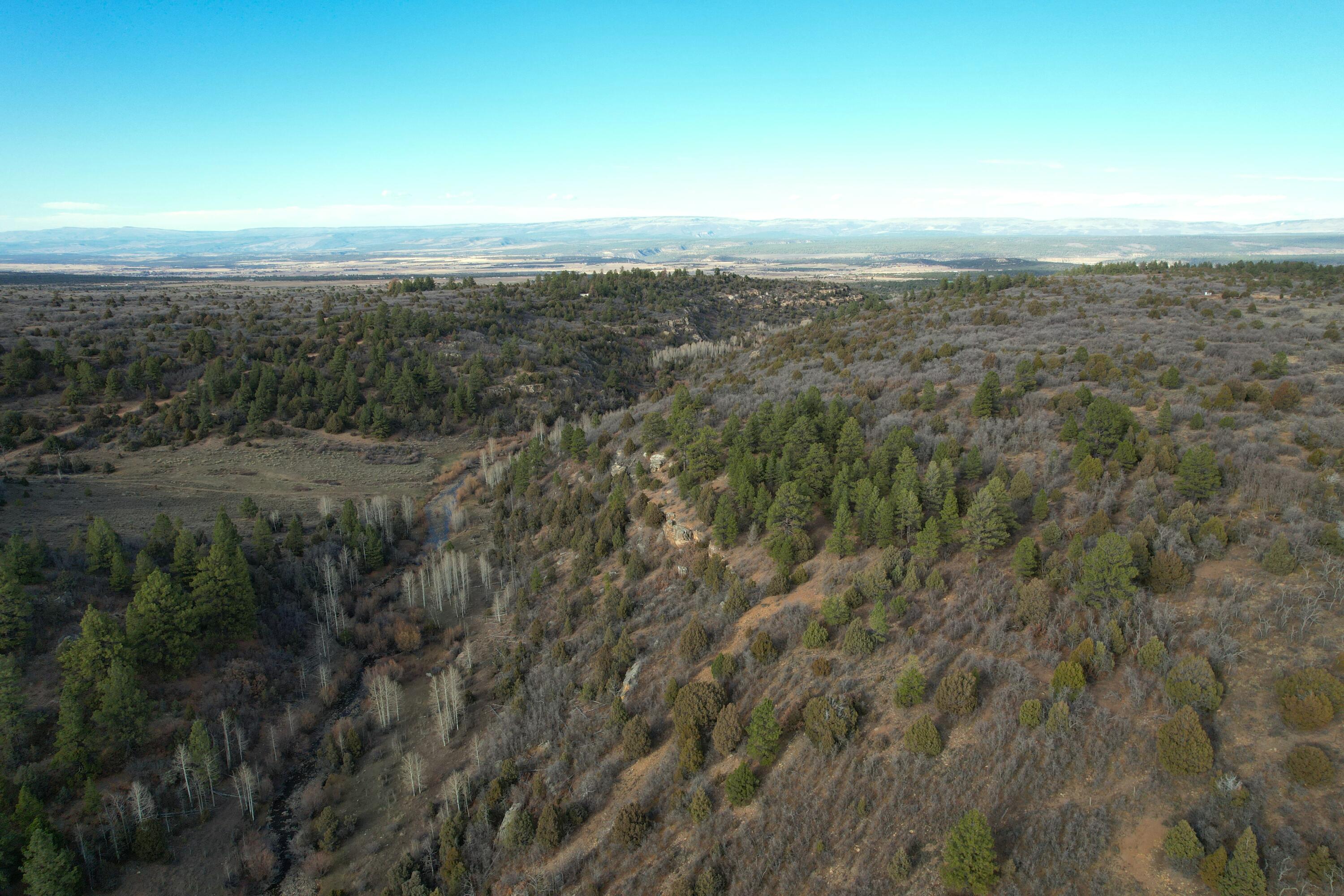 2a W Beaver Pines Loop Property Photo 12