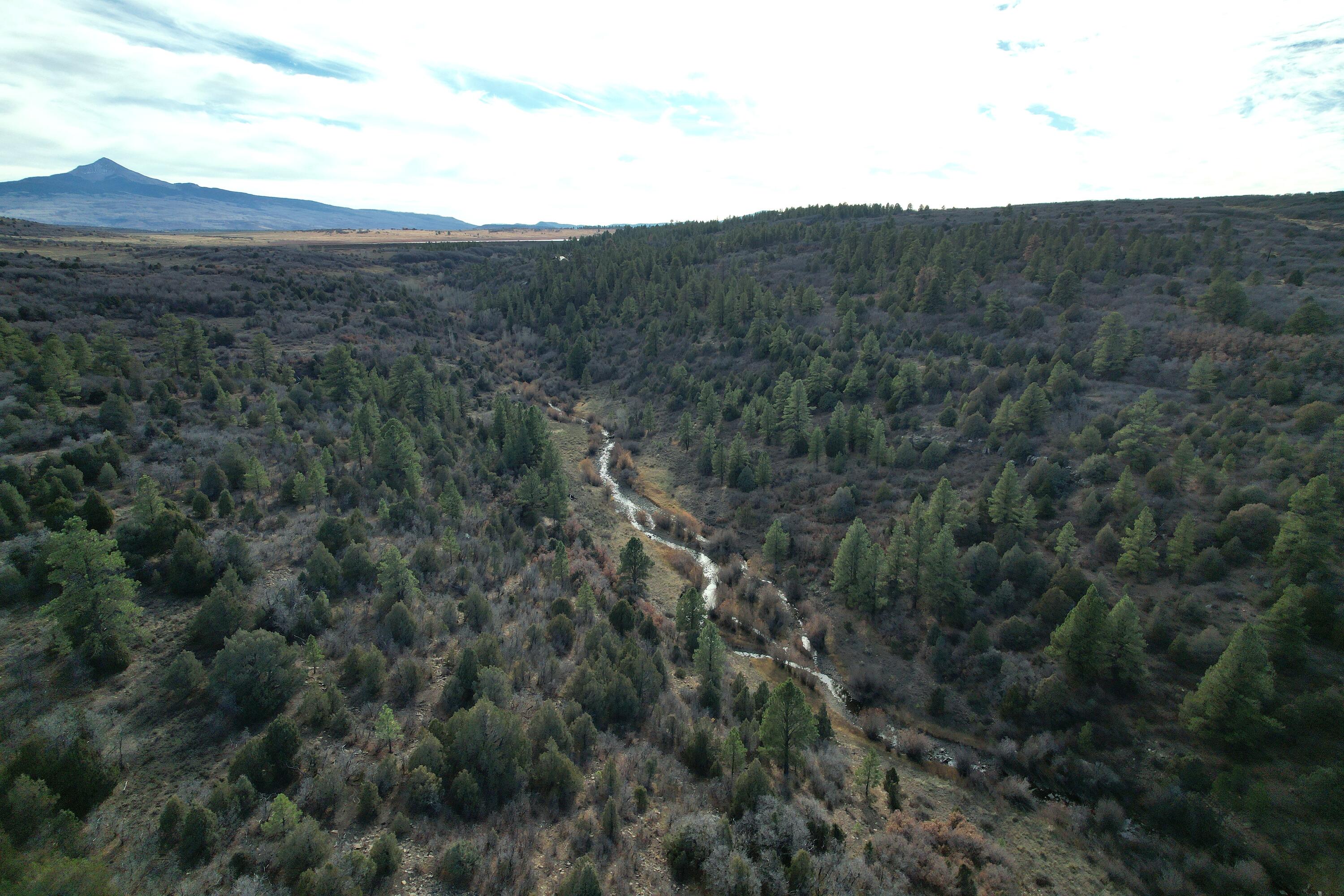 2a W Beaver Pines Loop Property Photo 13