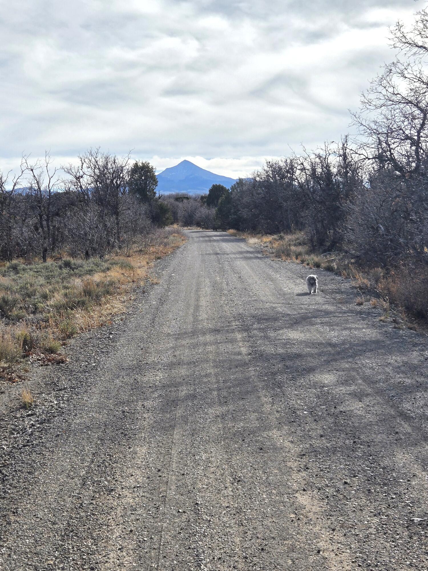 2a W Beaver Pines Loop Property Photo 17