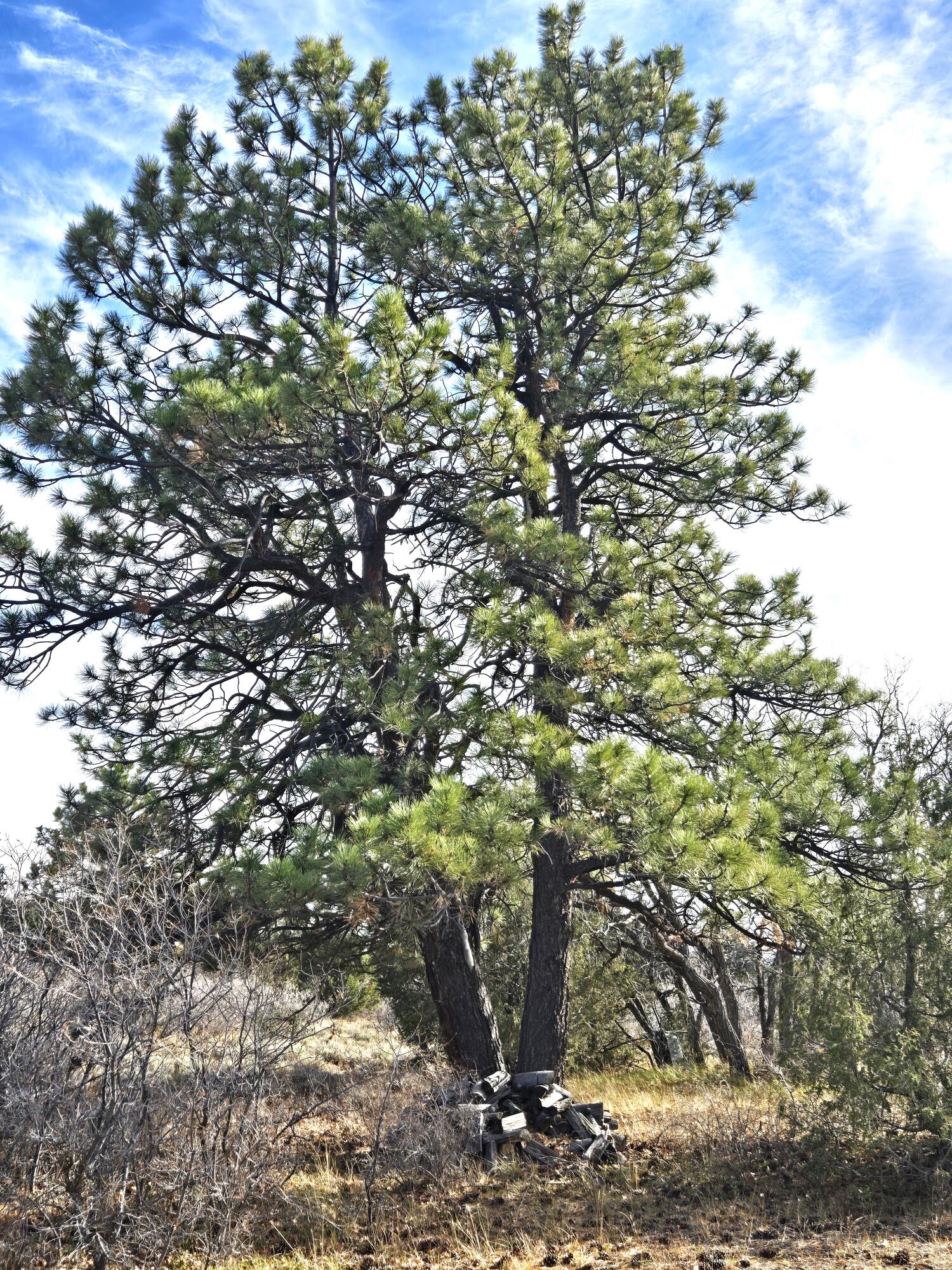 2a W Beaver Pines Loop Property Photo 18
