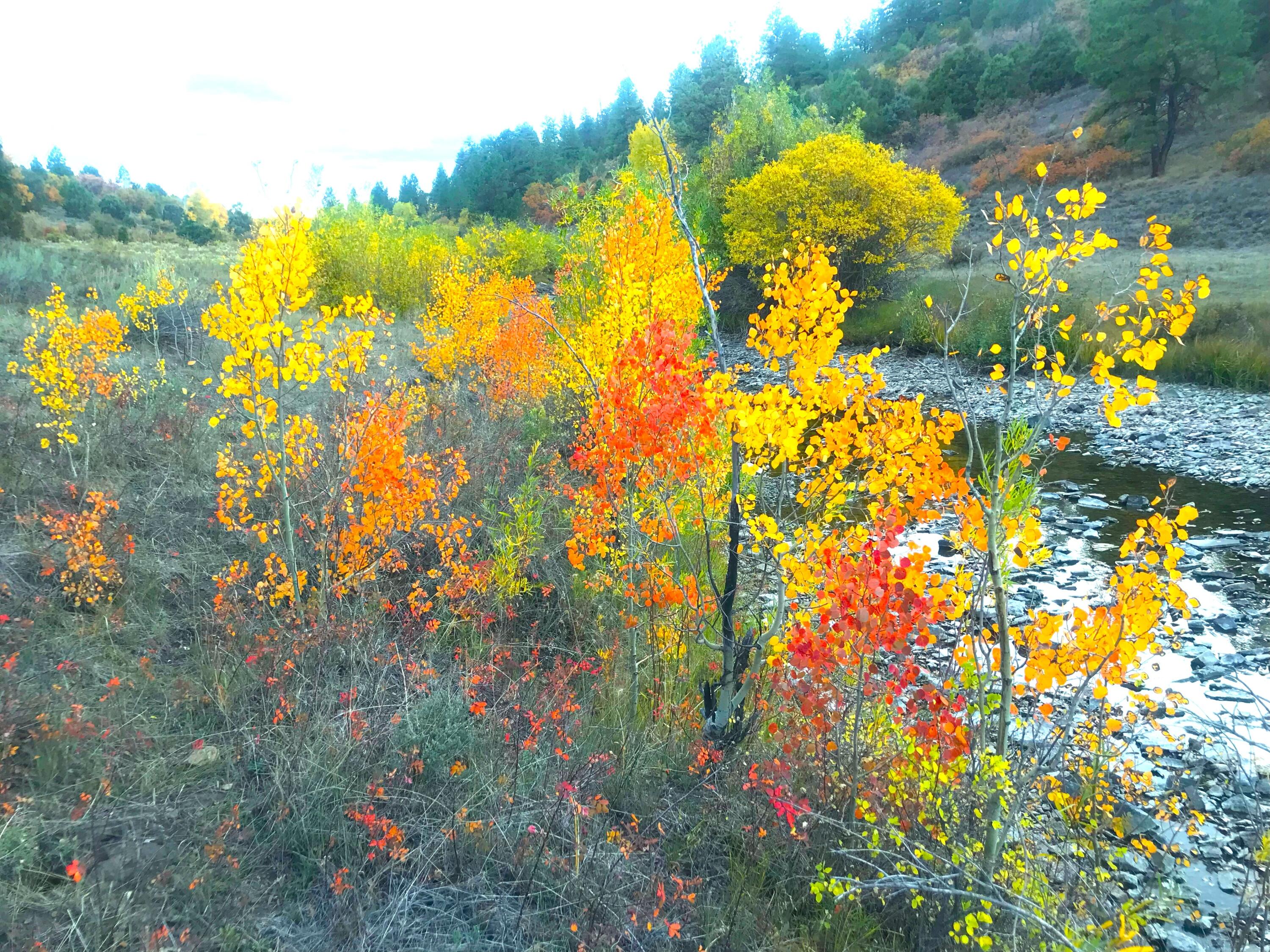 2a W Beaver Pines Loop Property Photo 19