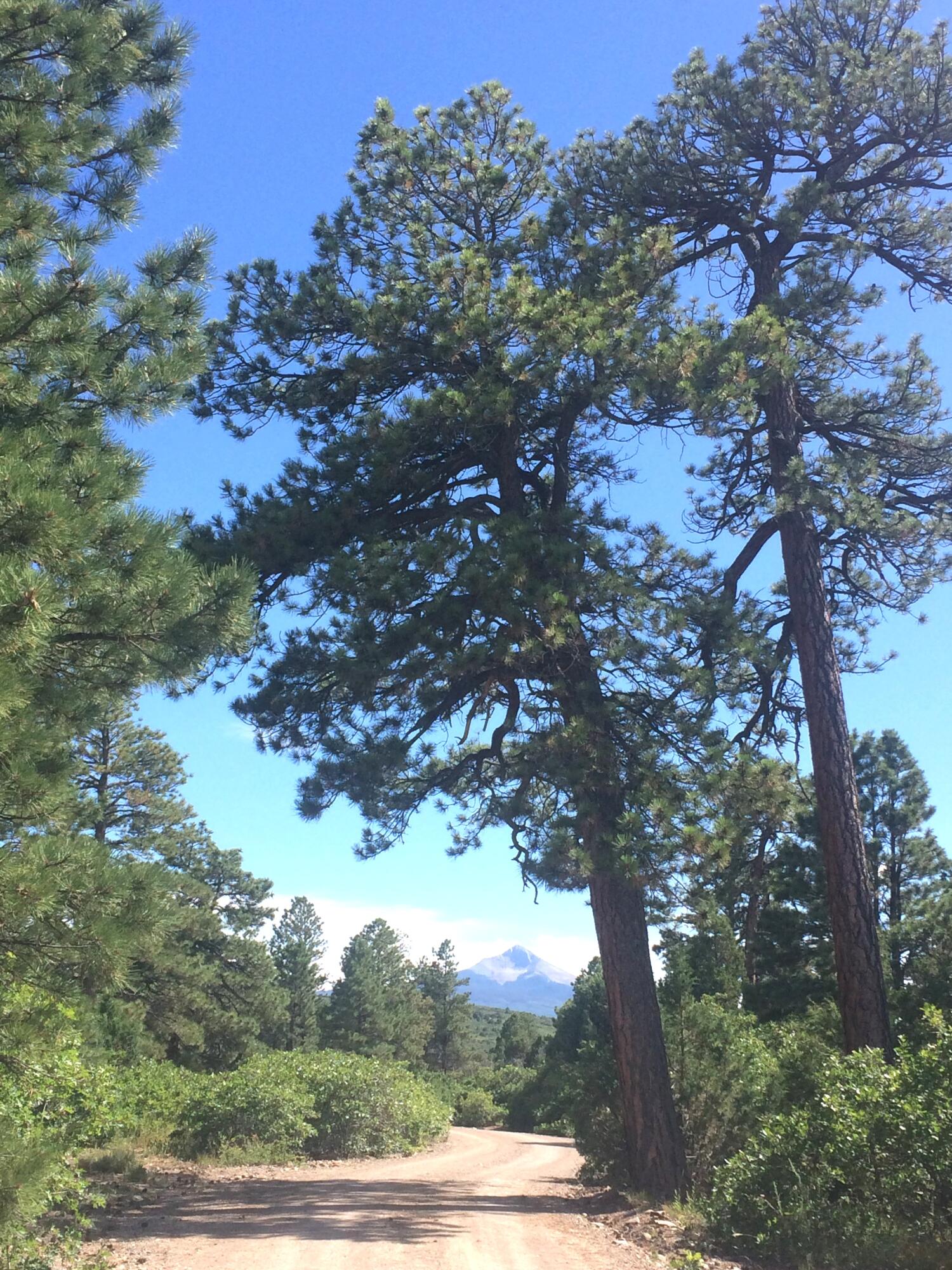 2a W Beaver Pines Loop Property Photo 22