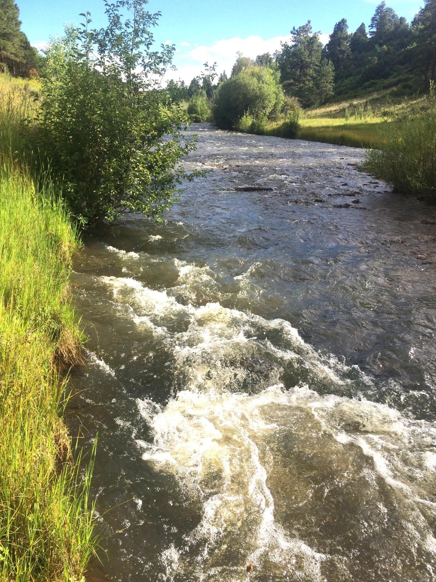 2a W Beaver Pines Loop Property Photo 29