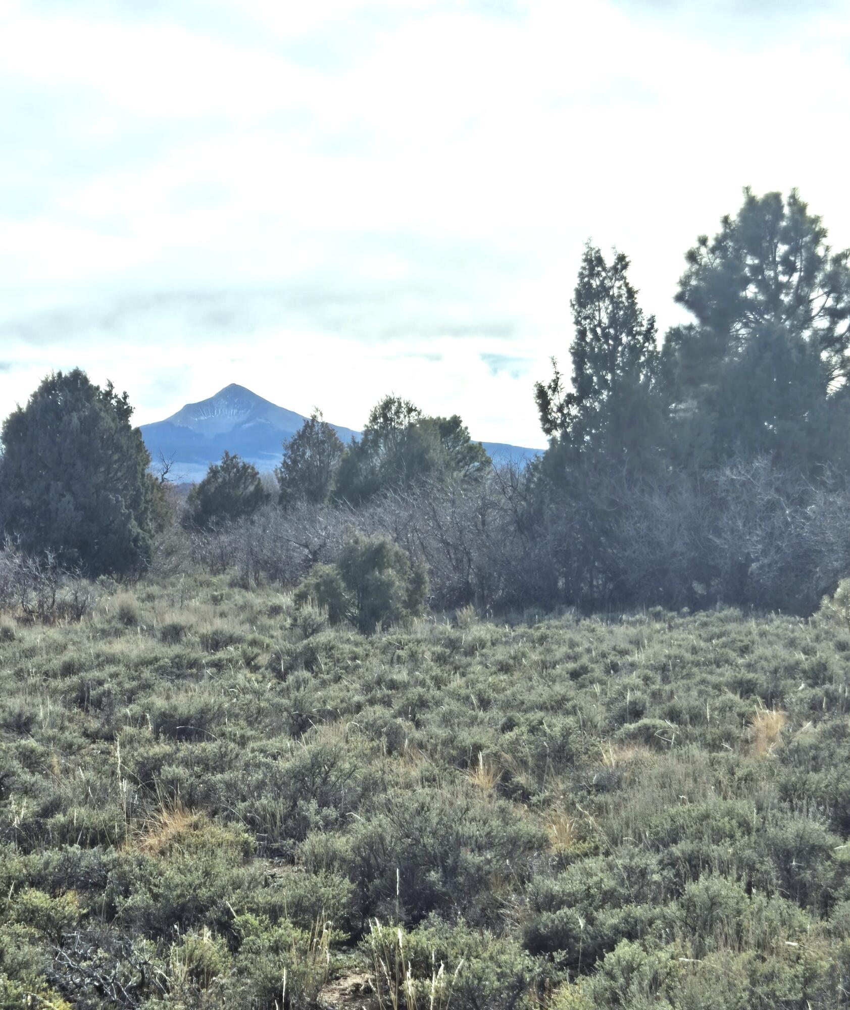 2a W Beaver Pines Loop Property Photo 30
