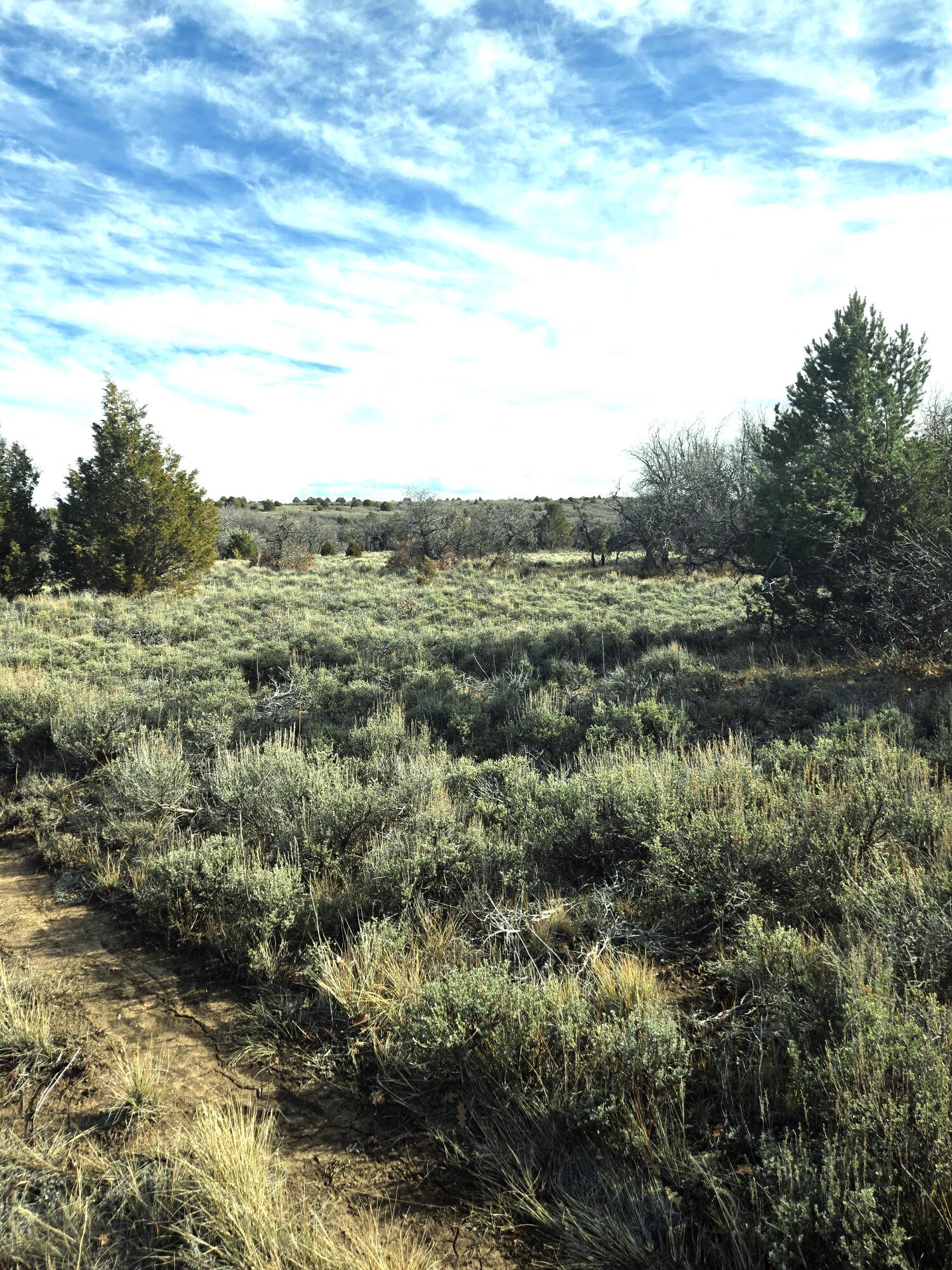 2a W Beaver Pines Loop Property Photo 31