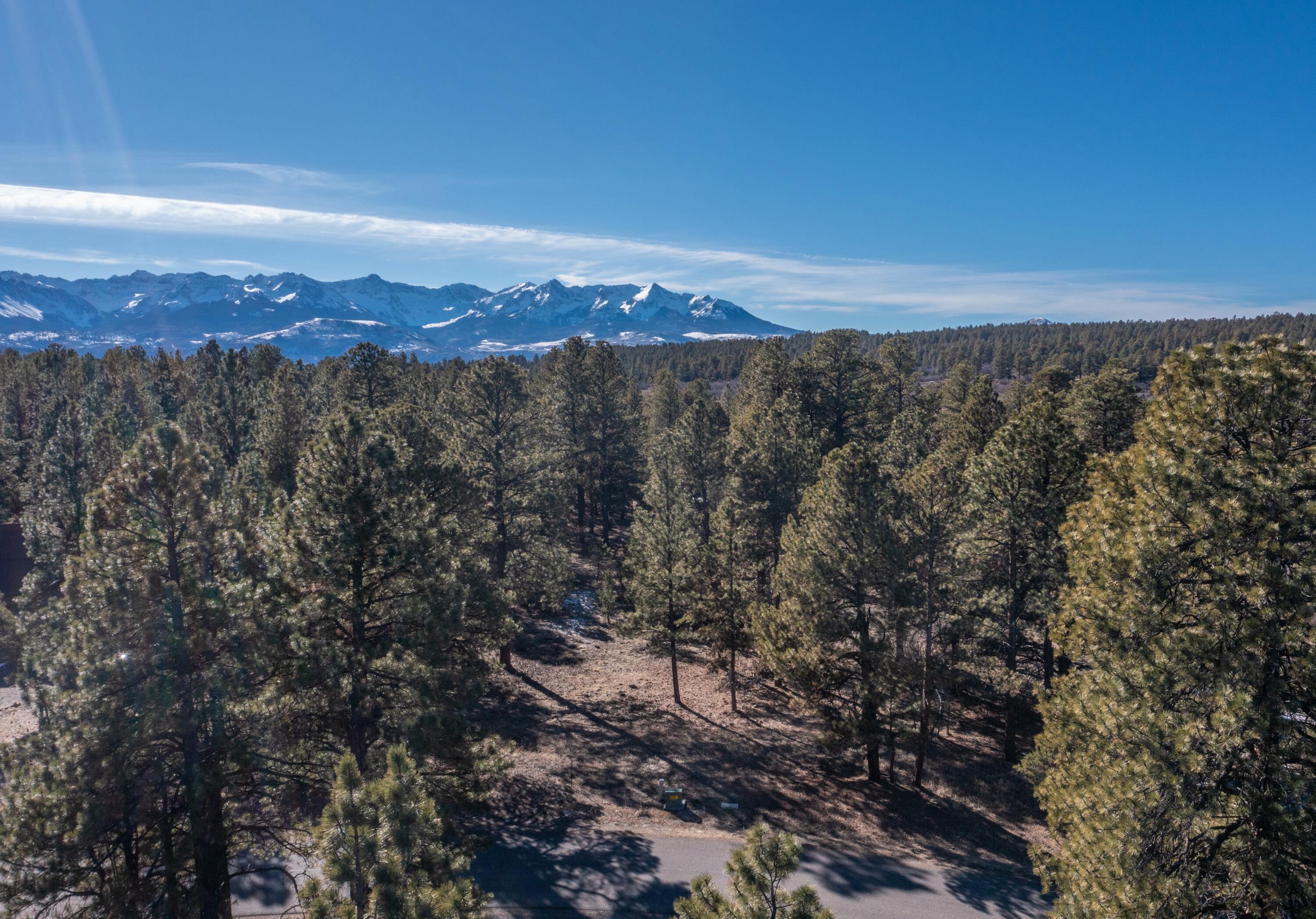 TBD S Badger Trail Property Photo 1