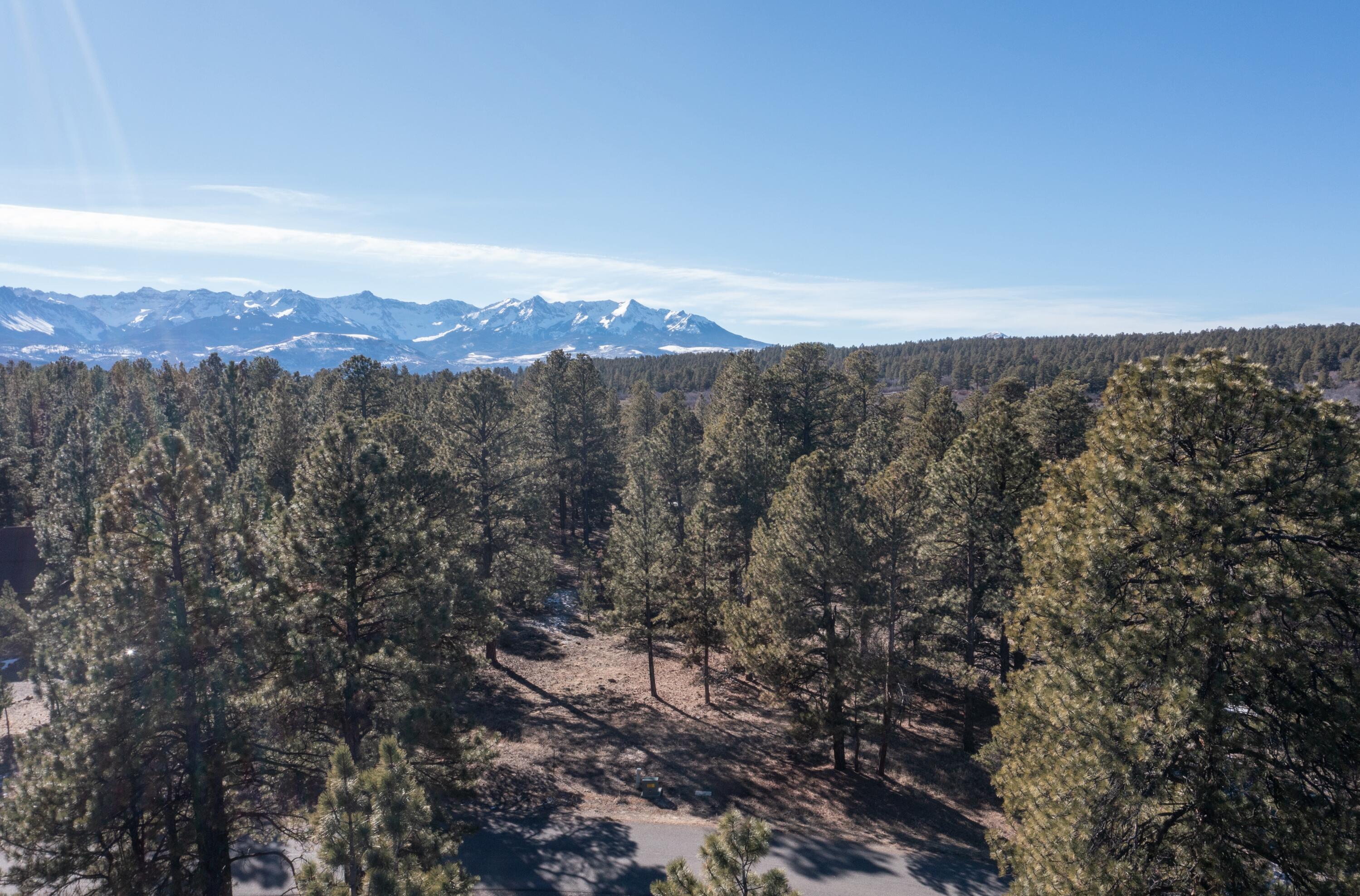 Tbd S Badger Trail Property Photo 2