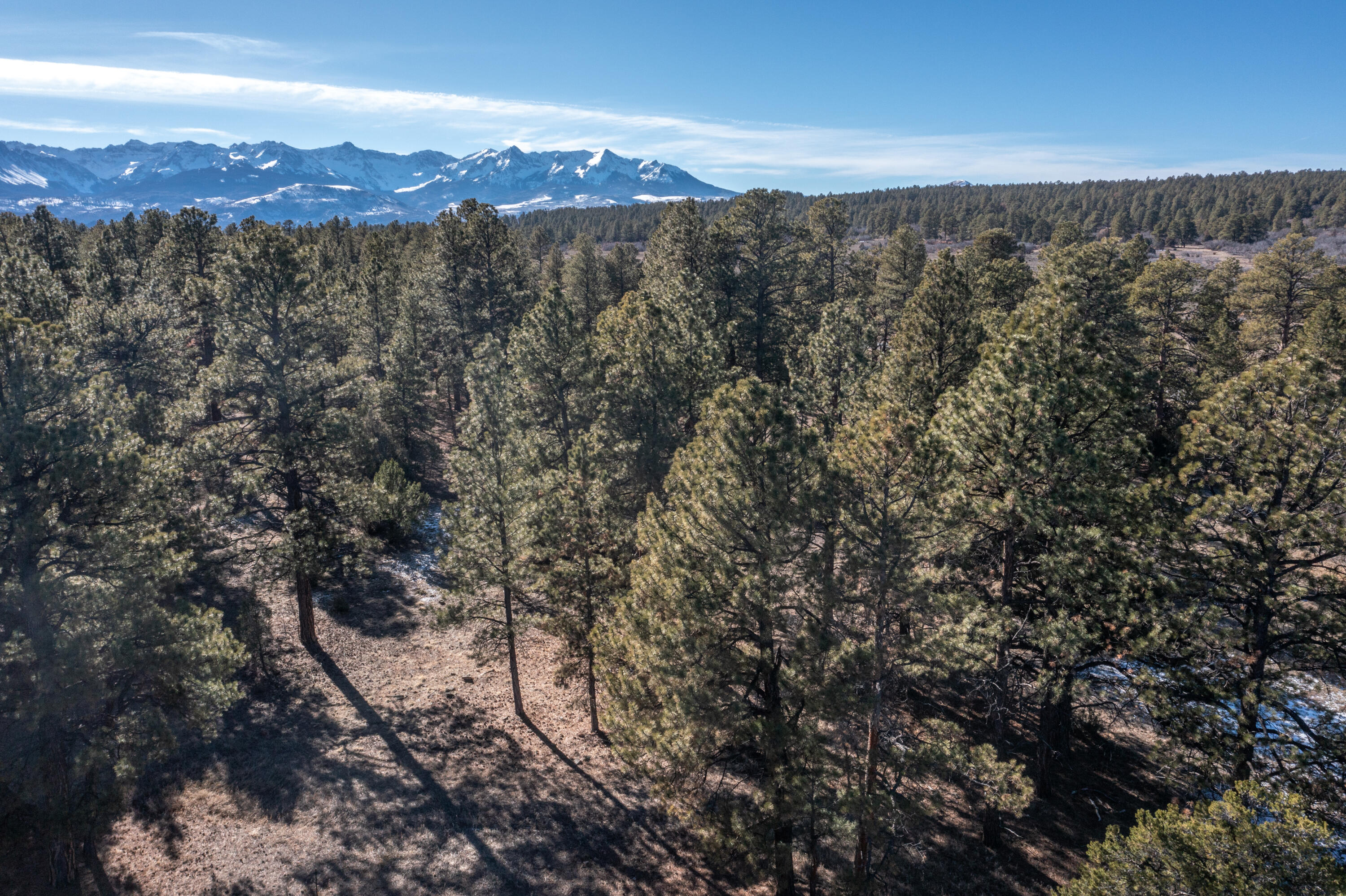 Tbd S Badger Trail Property Photo 3