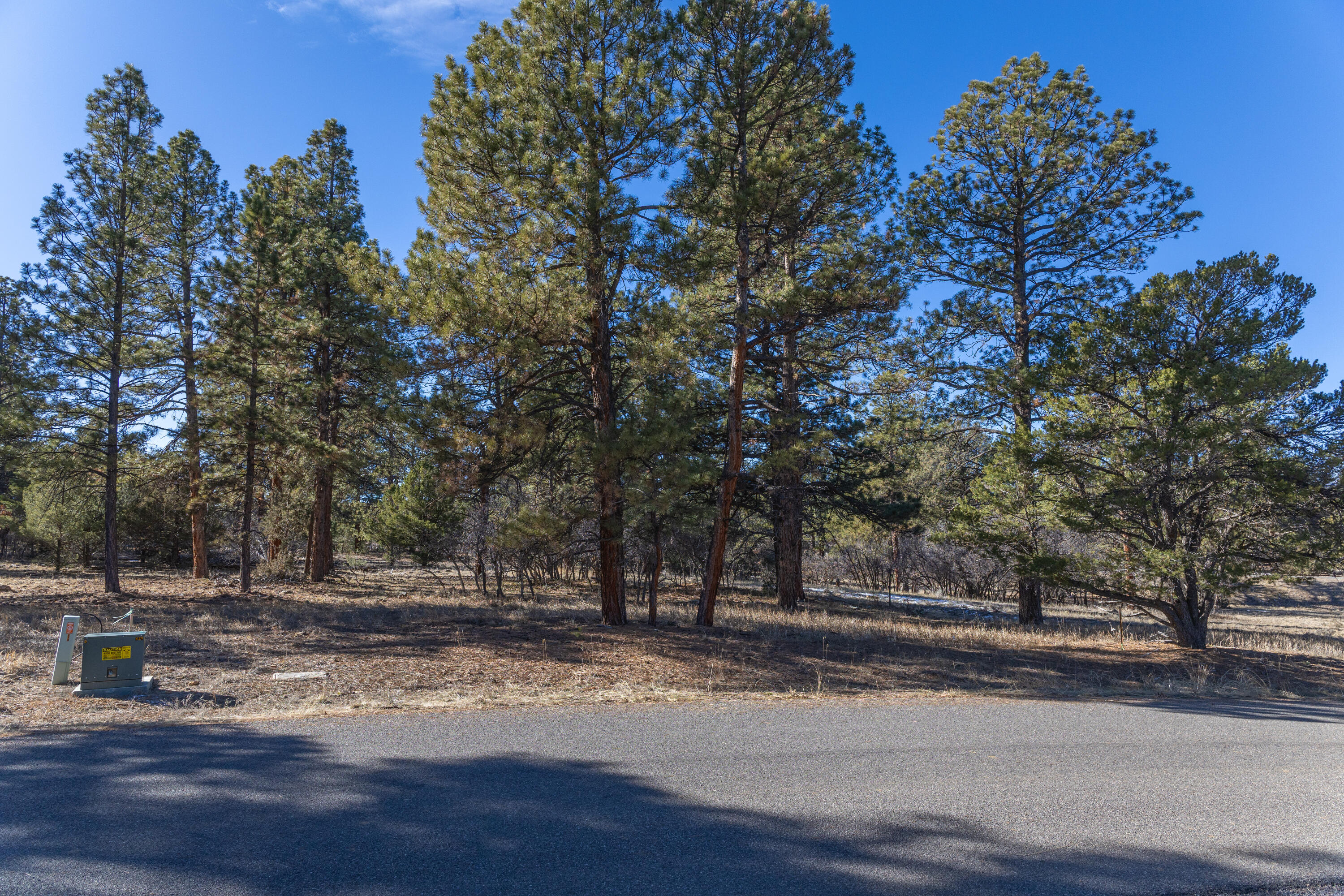 Tbd S Badger Trail Property Photo 4