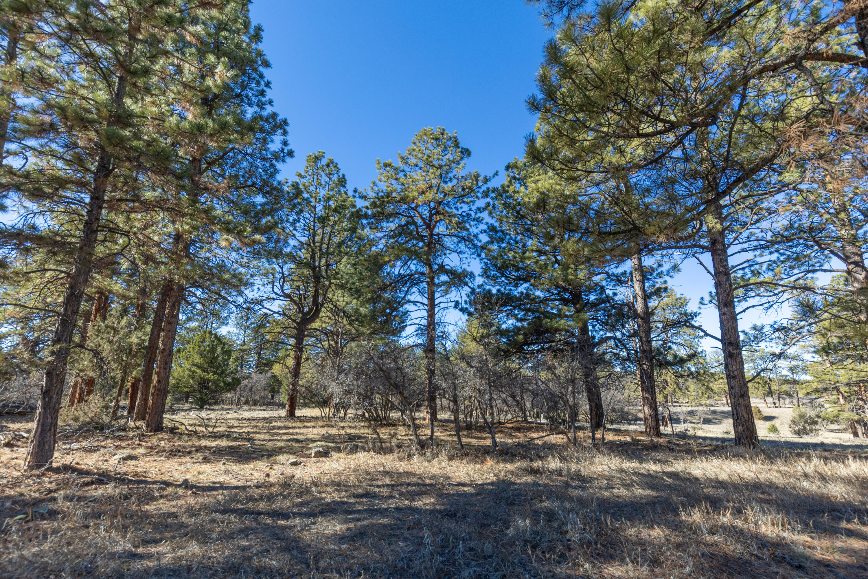 Tbd S Badger Trail Property Photo 6