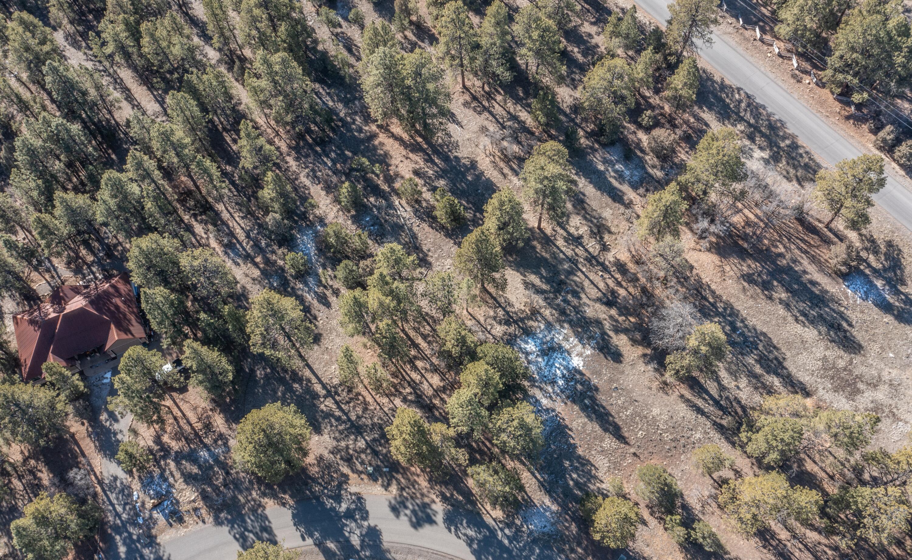 Tbd S Badger Trail Property Photo 13