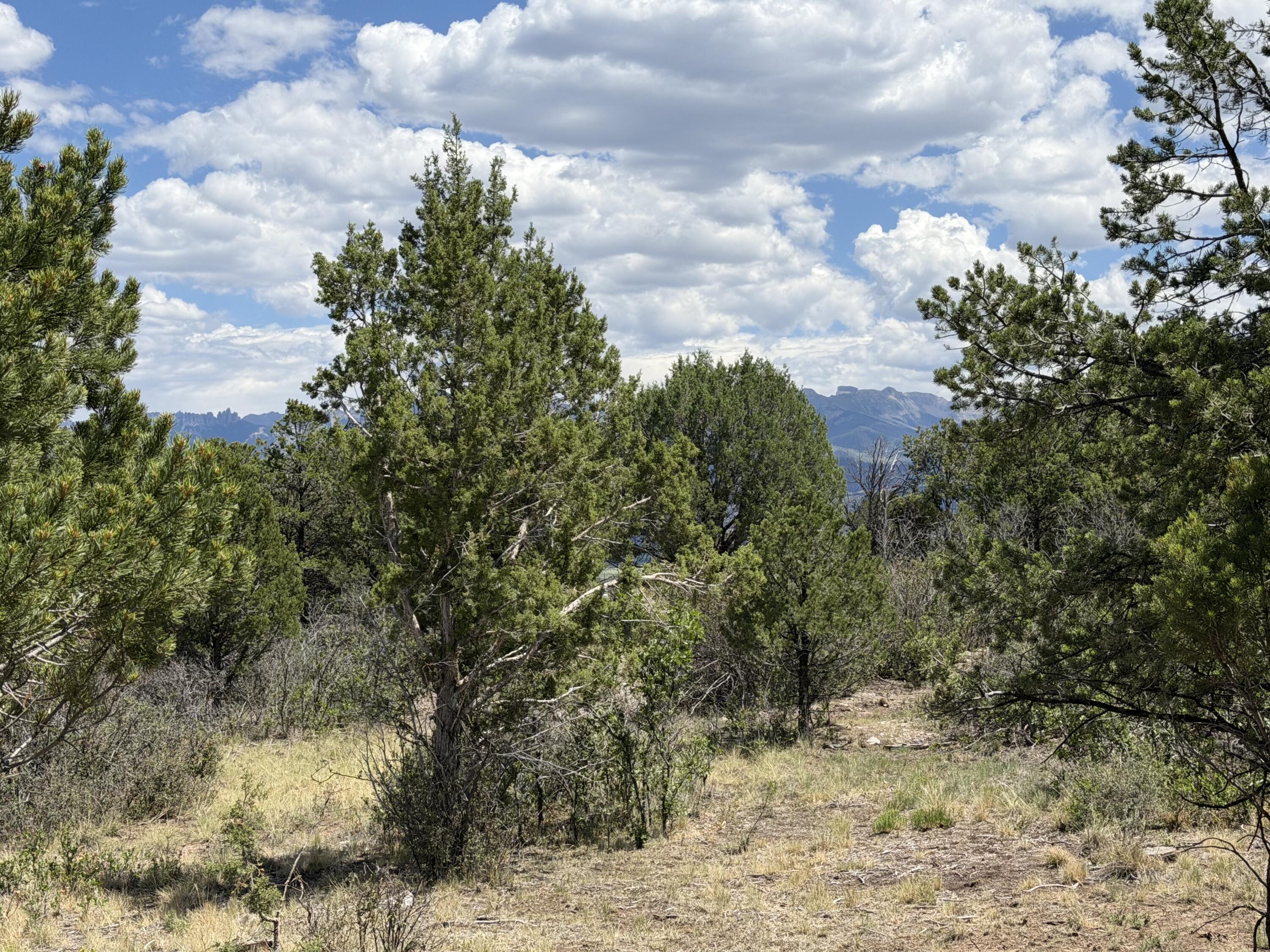 Tbd Pine Drive Property Photo 2