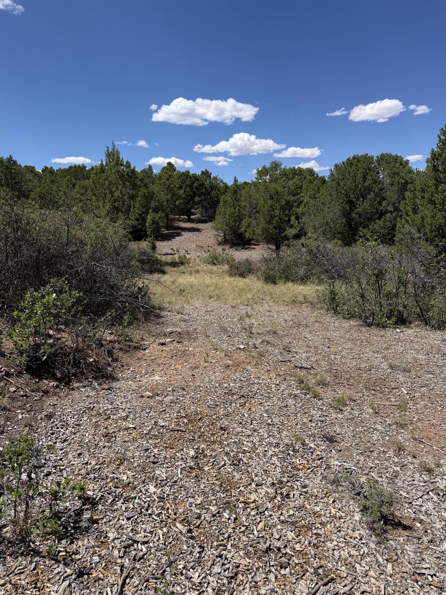 Tbd Pine Drive Property Photo 8