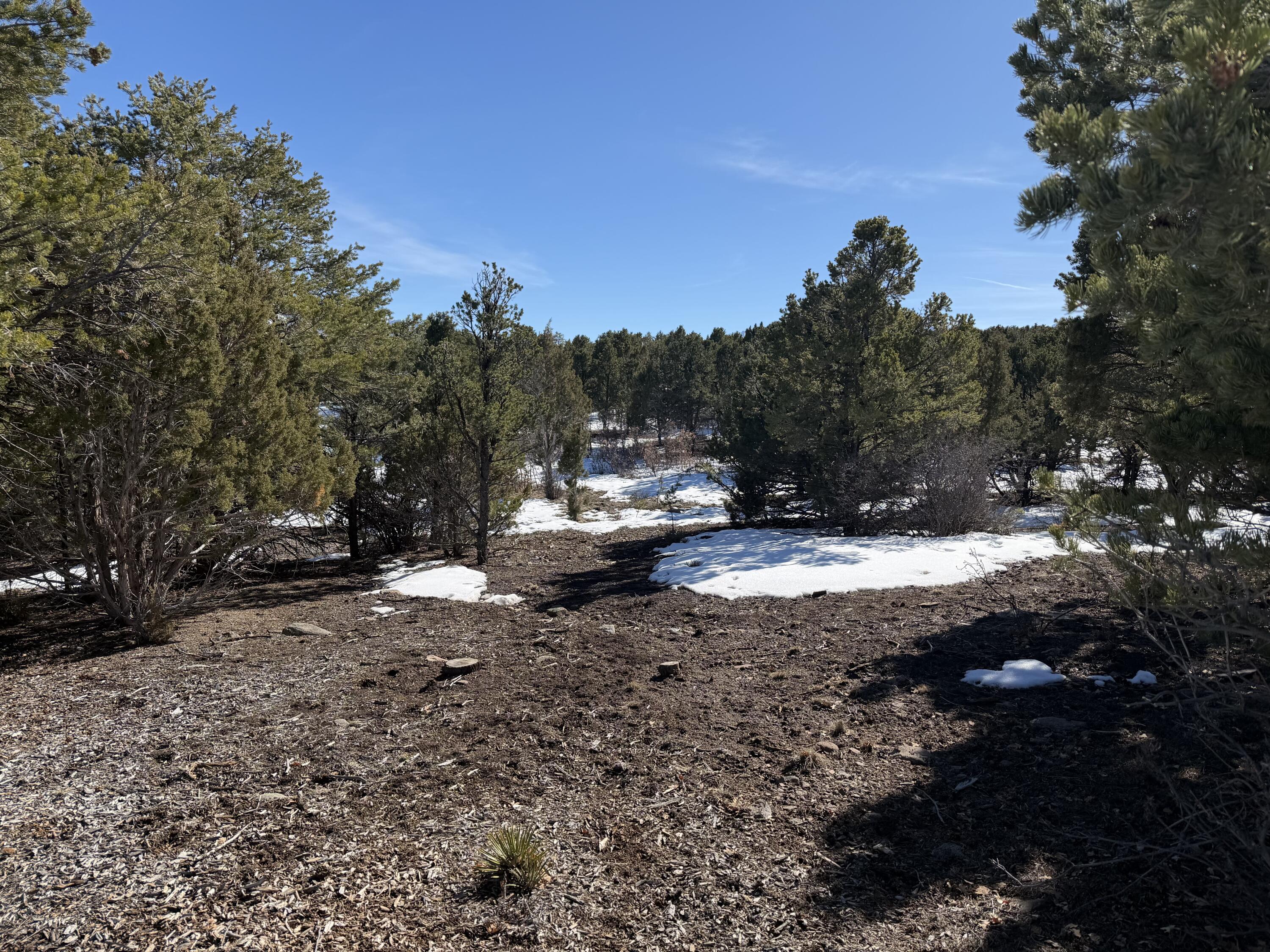 Tbd Pine Drive Property Photo 15