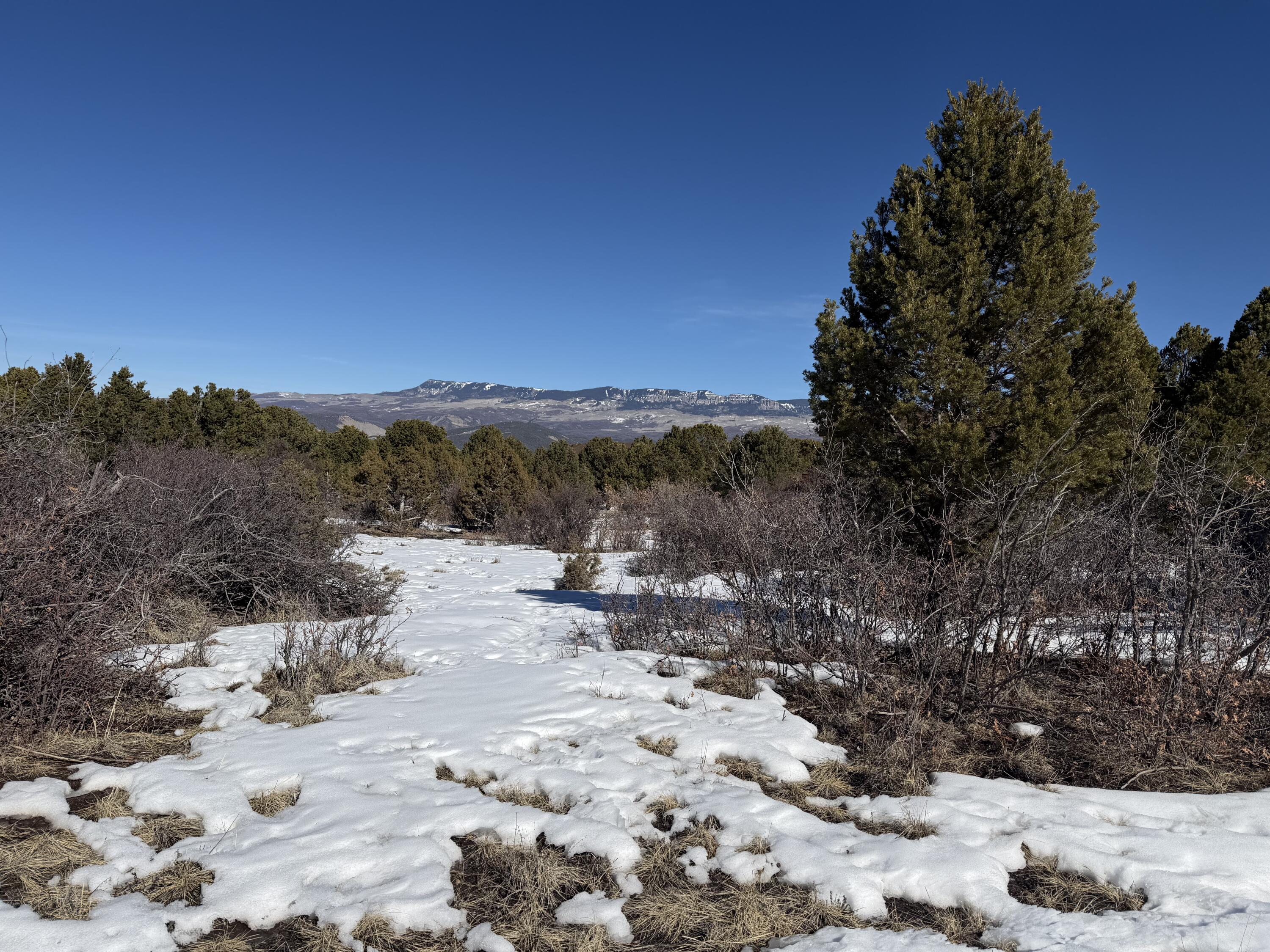 Tbd Pine Drive Property Photo 18