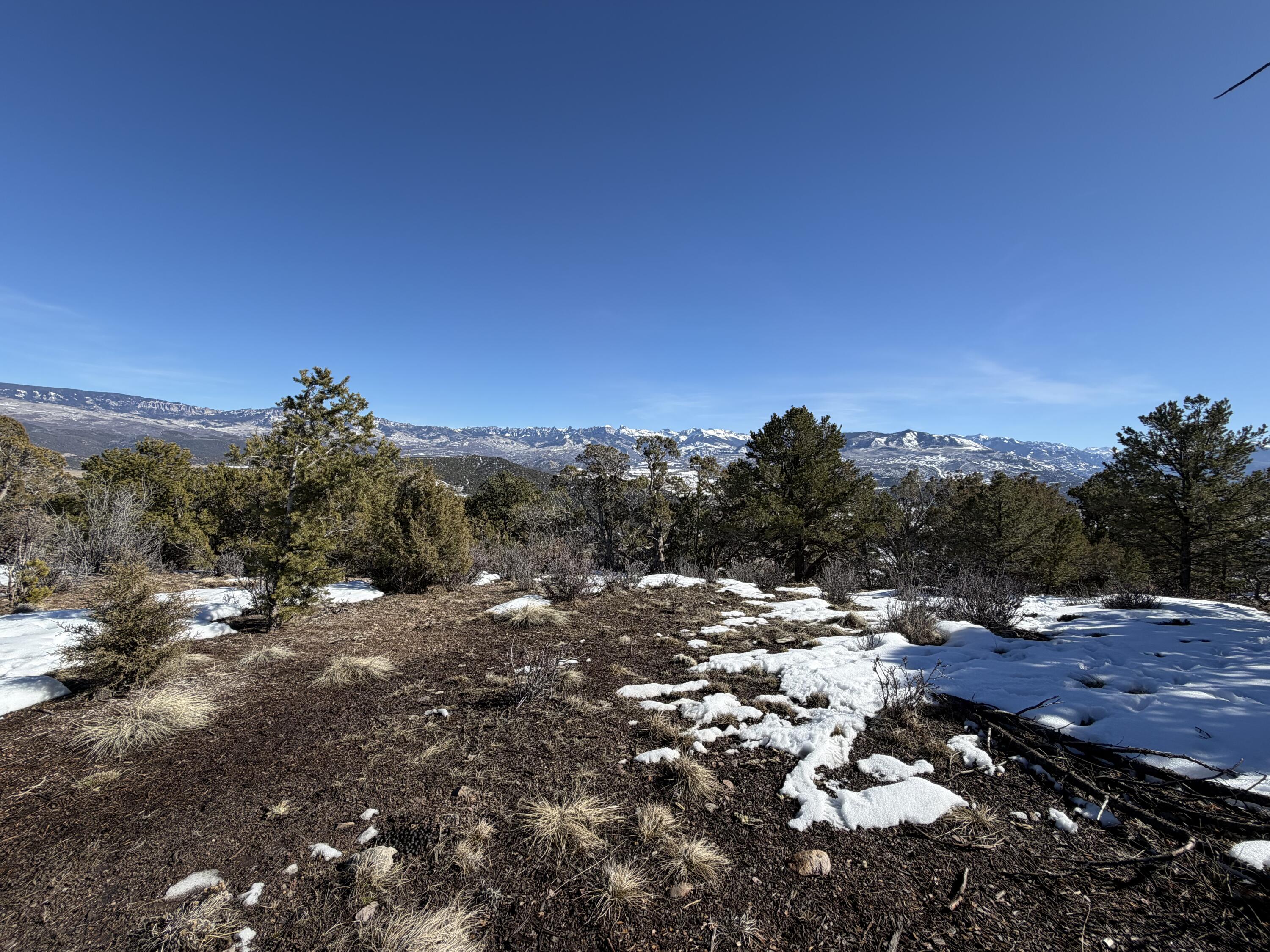 Tbd Pine Drive Property Photo 34