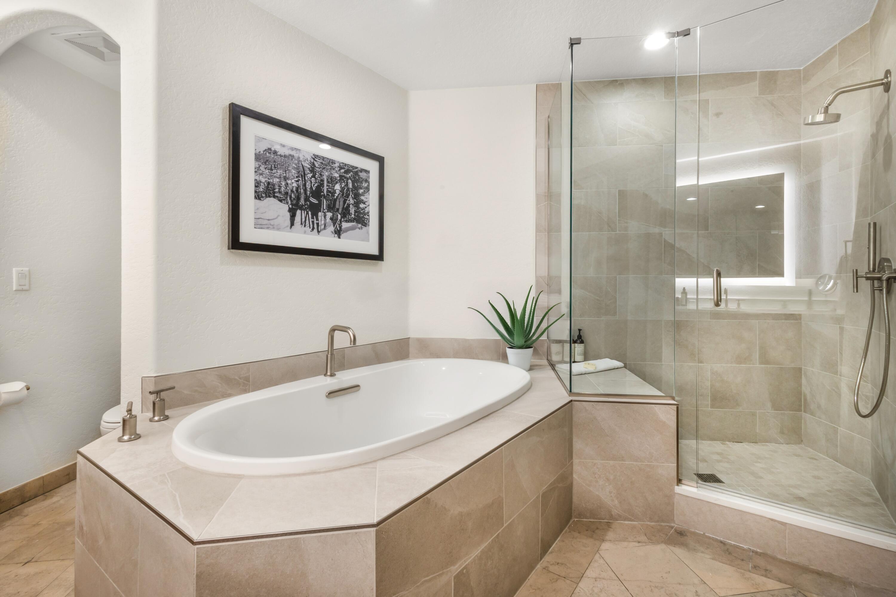 567 Mountain Village Boulevard Deed 501-6 Property Photo 6