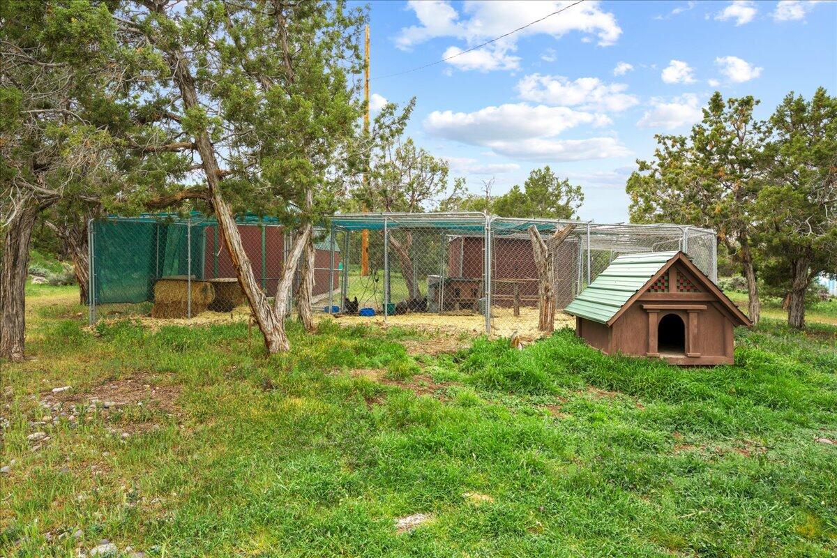 281 Stormy Trail Property Photo 49