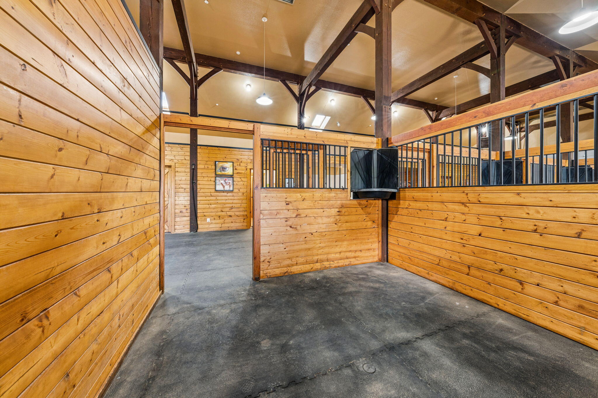 3623 Elkhorn Mountain Road Property Photo 33