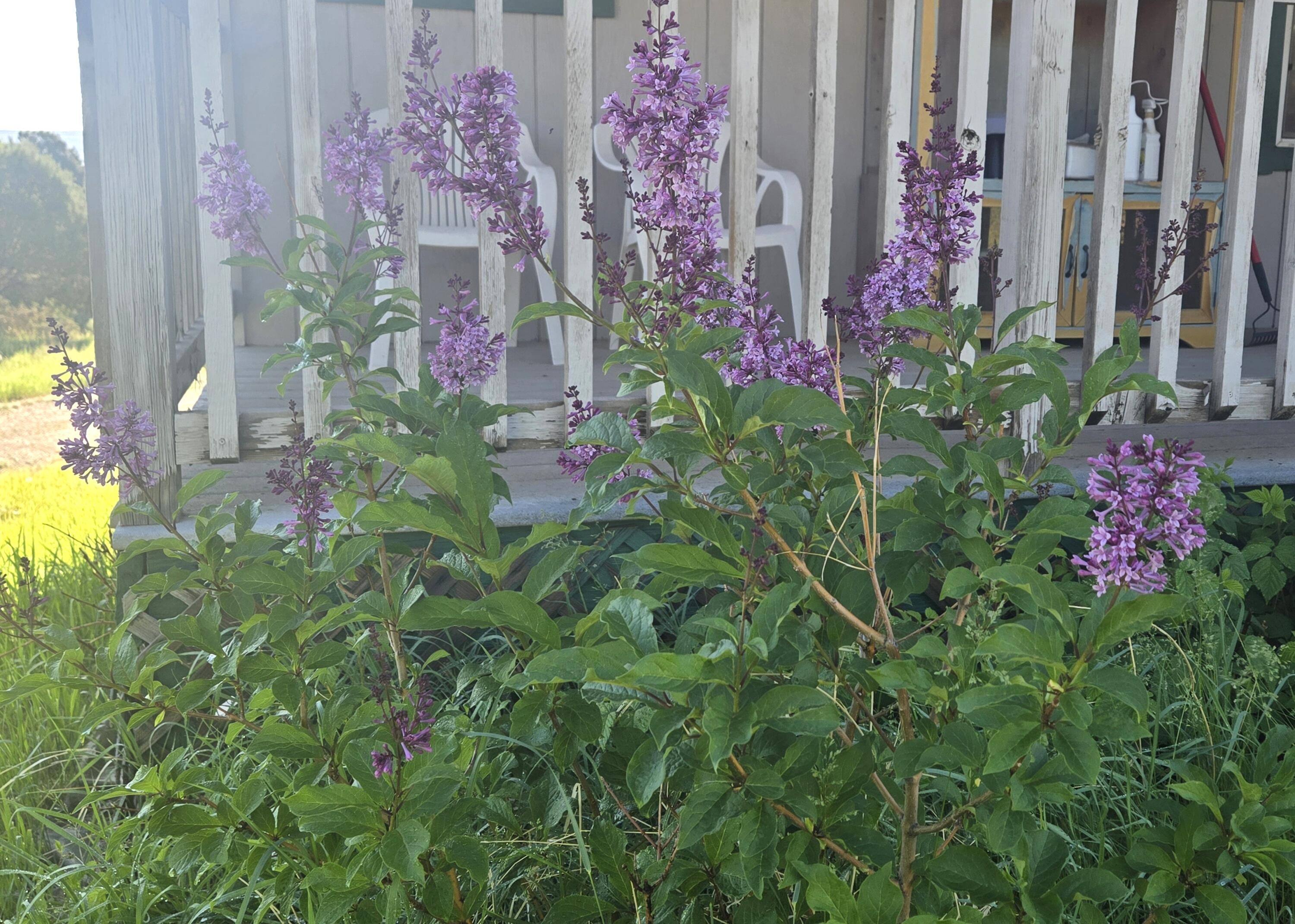 90 Spruce Drive Property Photo 33