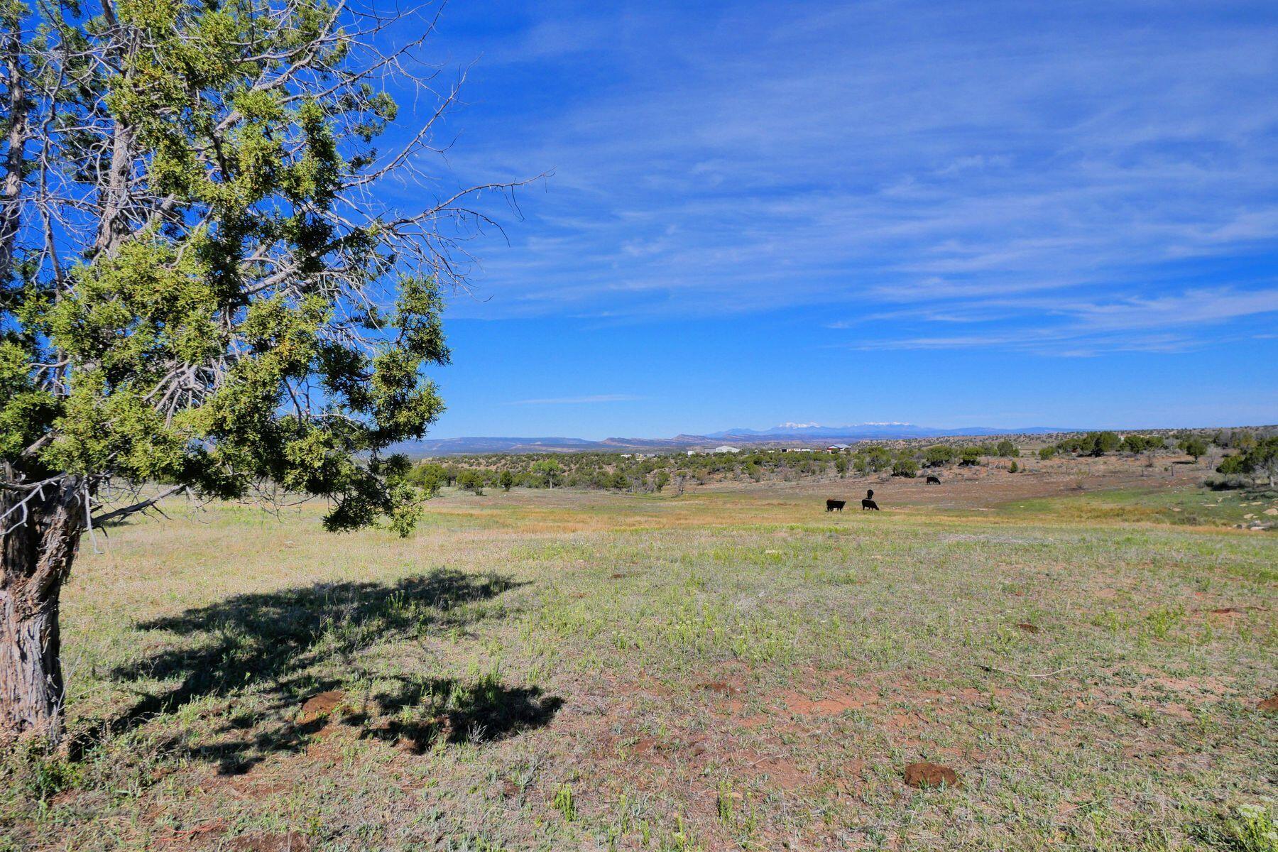 32096 Co-145 Property Photo 23