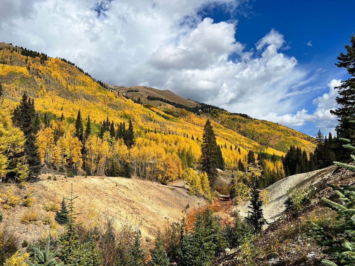 3543 Million Dollar Highway Property Photo 13