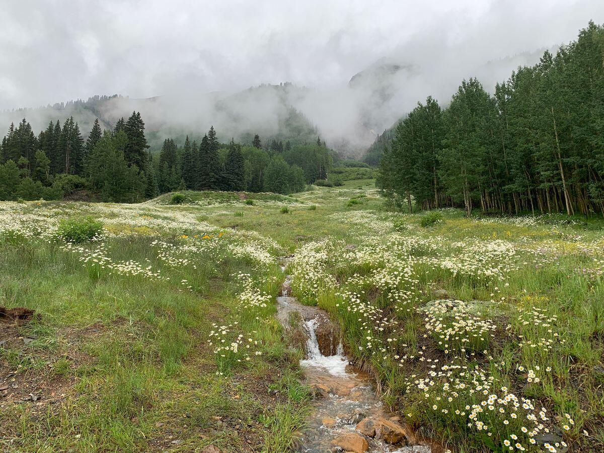 3543 Million Dollar Highway Property Photo 16