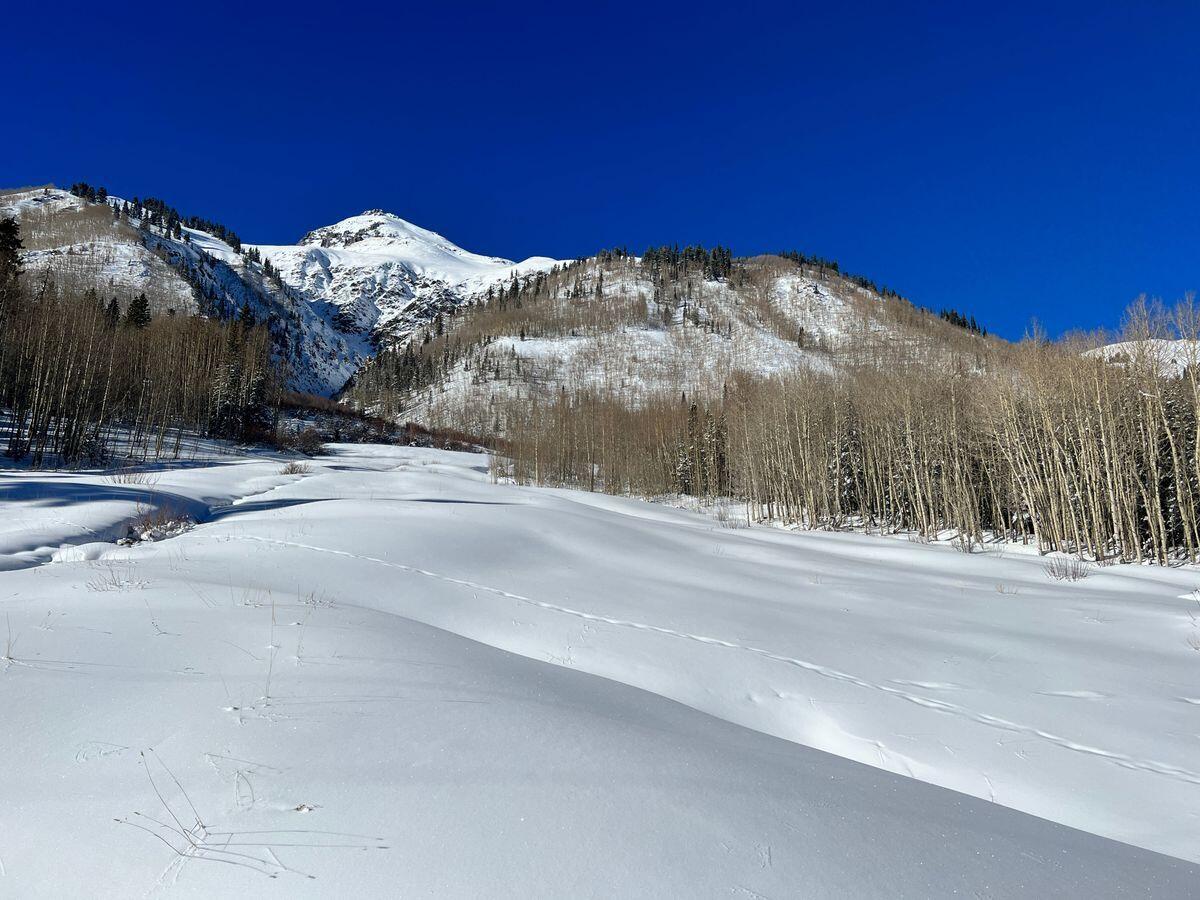 3543 Million Dollar Highway Property Photo 60