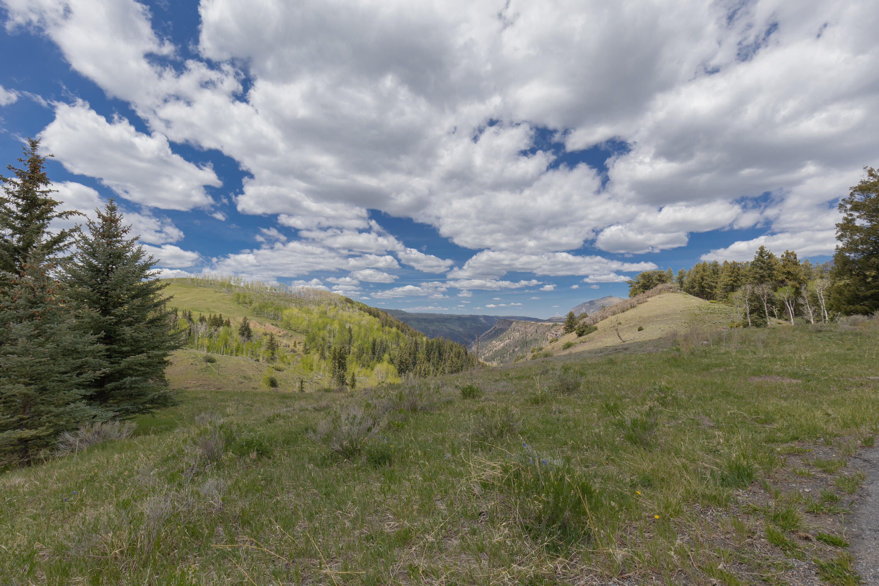 Tbd Lawson Point Property Photo 5