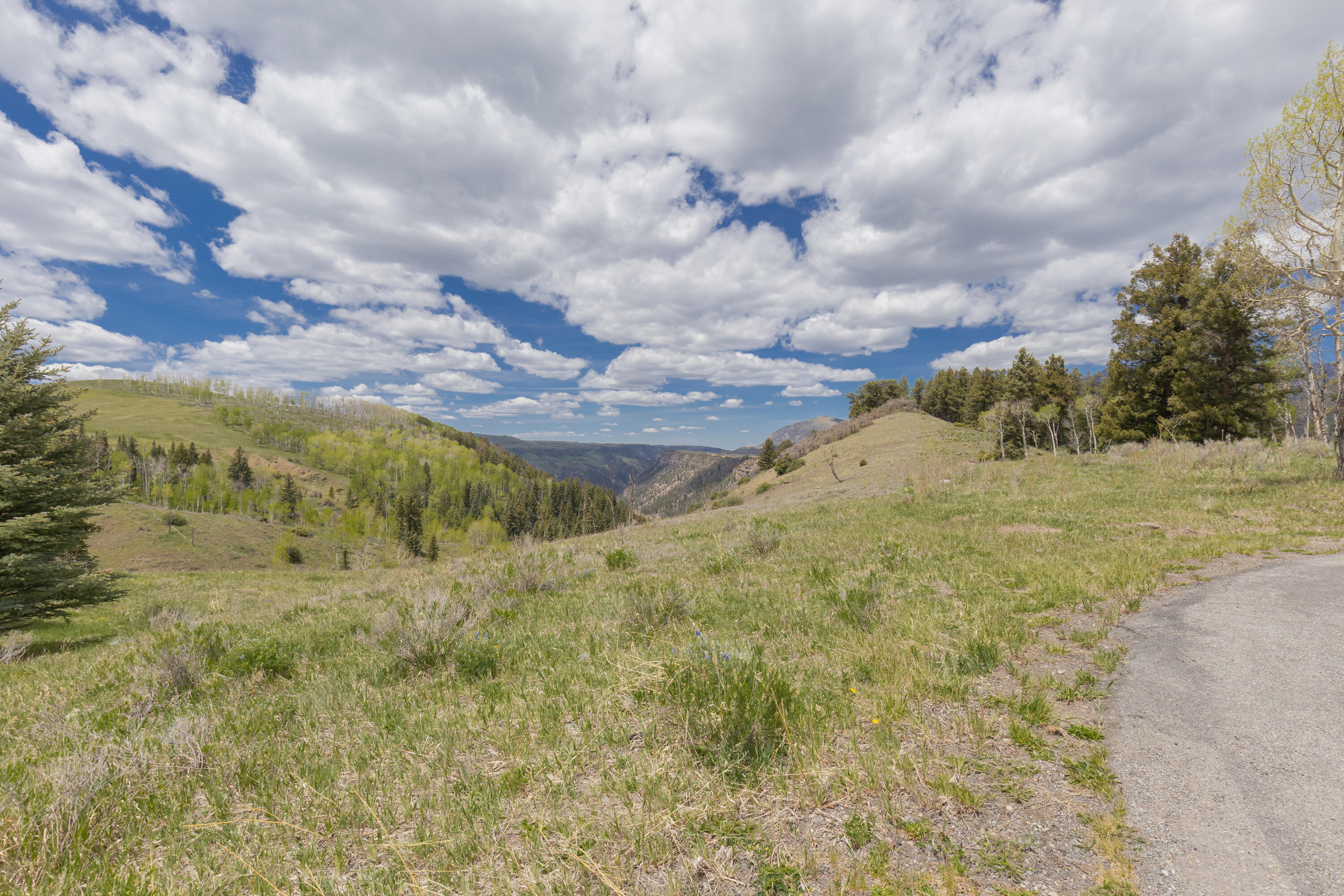 Tbd Lawson Point Property Photo 6