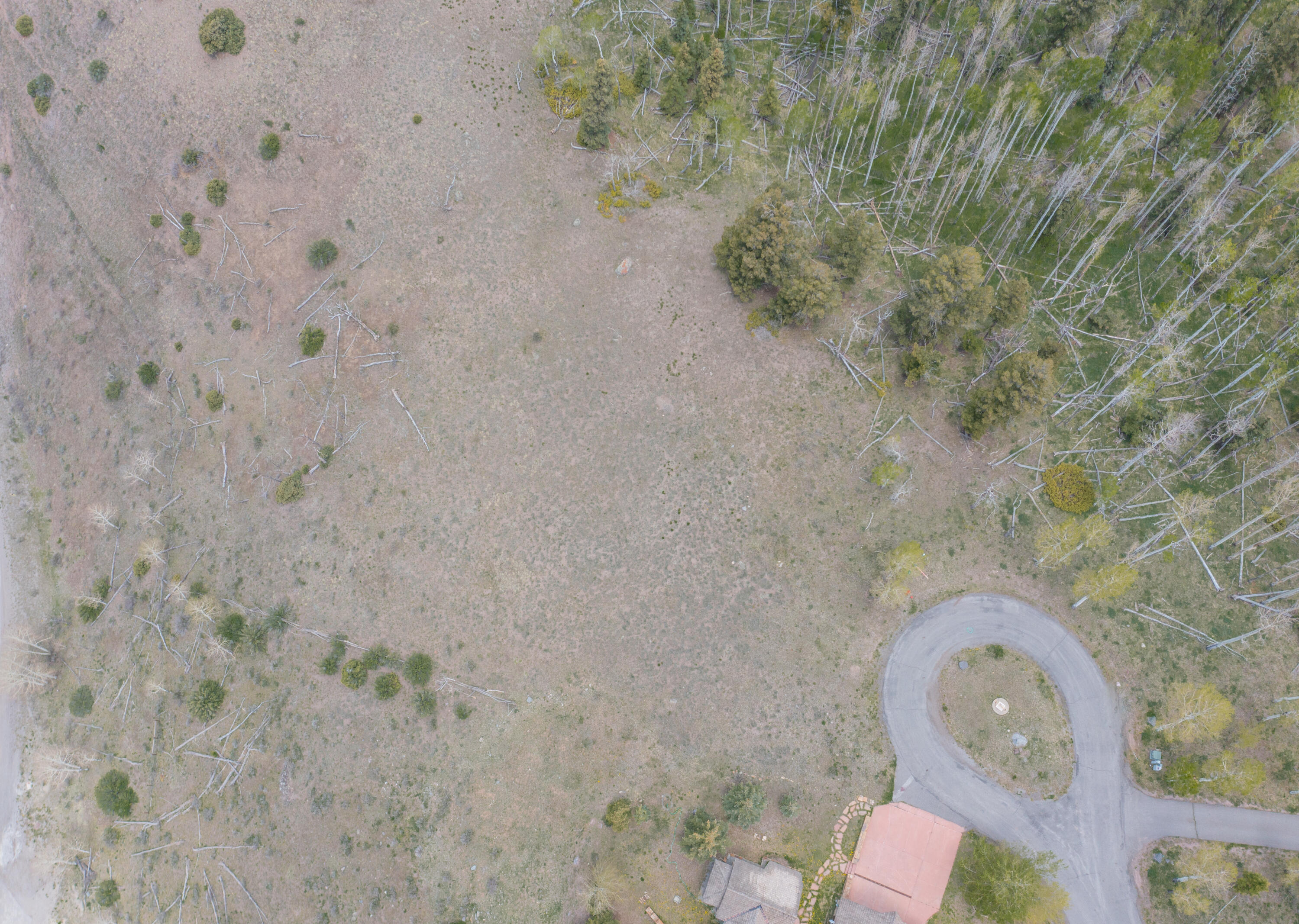 Tbd Lawson Point Property Photo 12