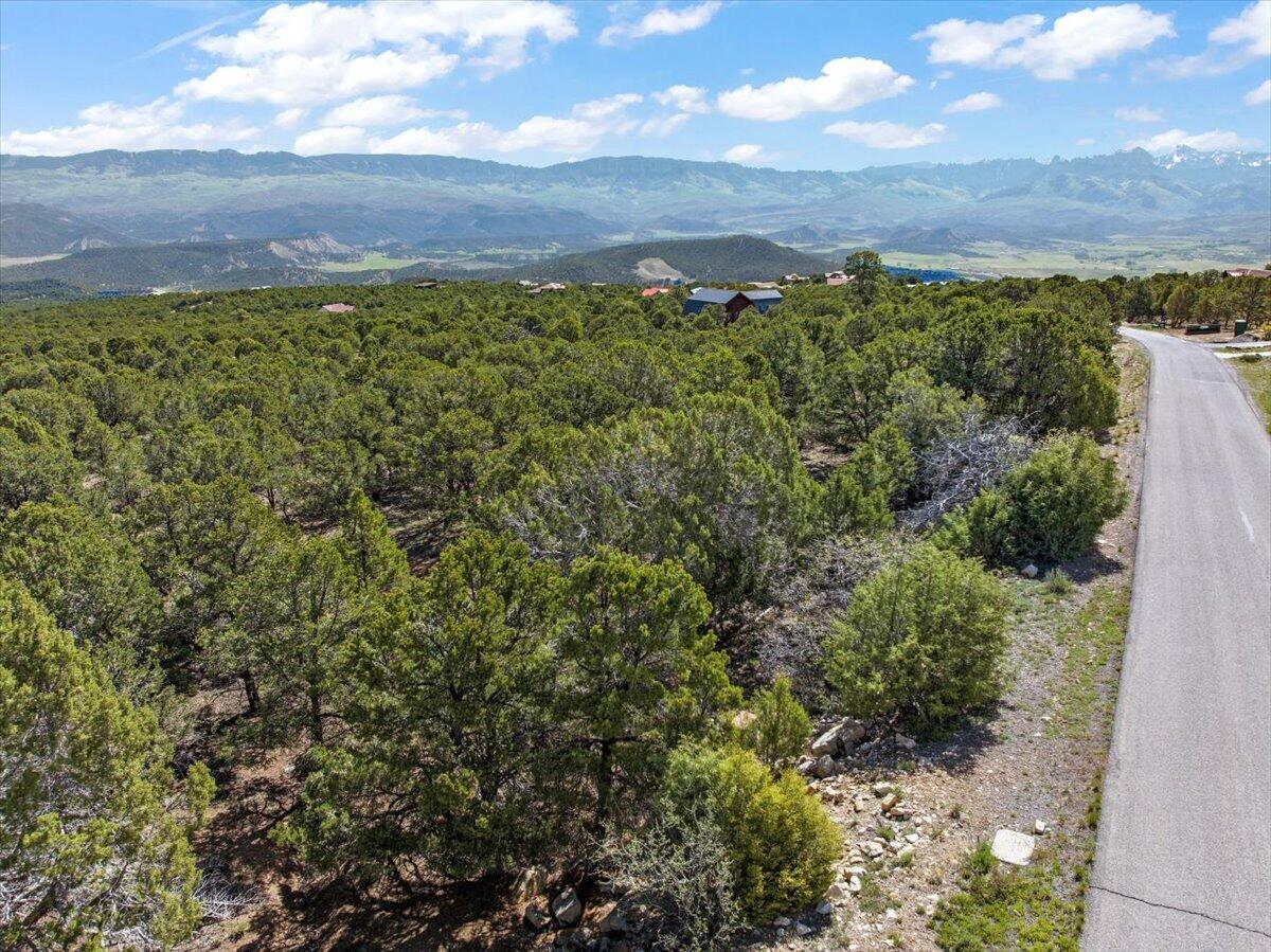 Lot 10 Pine Drive Property Photo 6