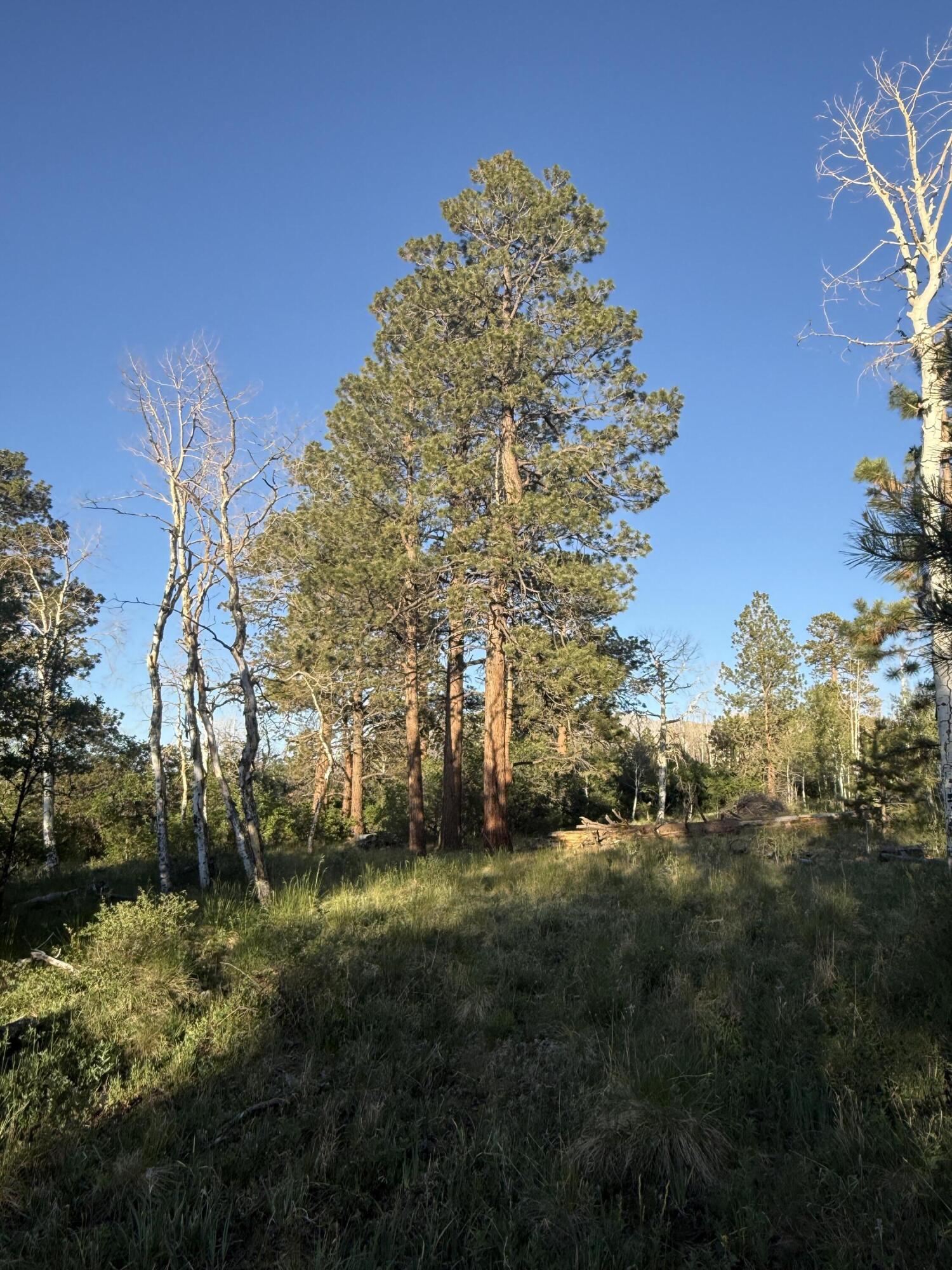 6 Little Lake Ranch Drive. Property Photo 31