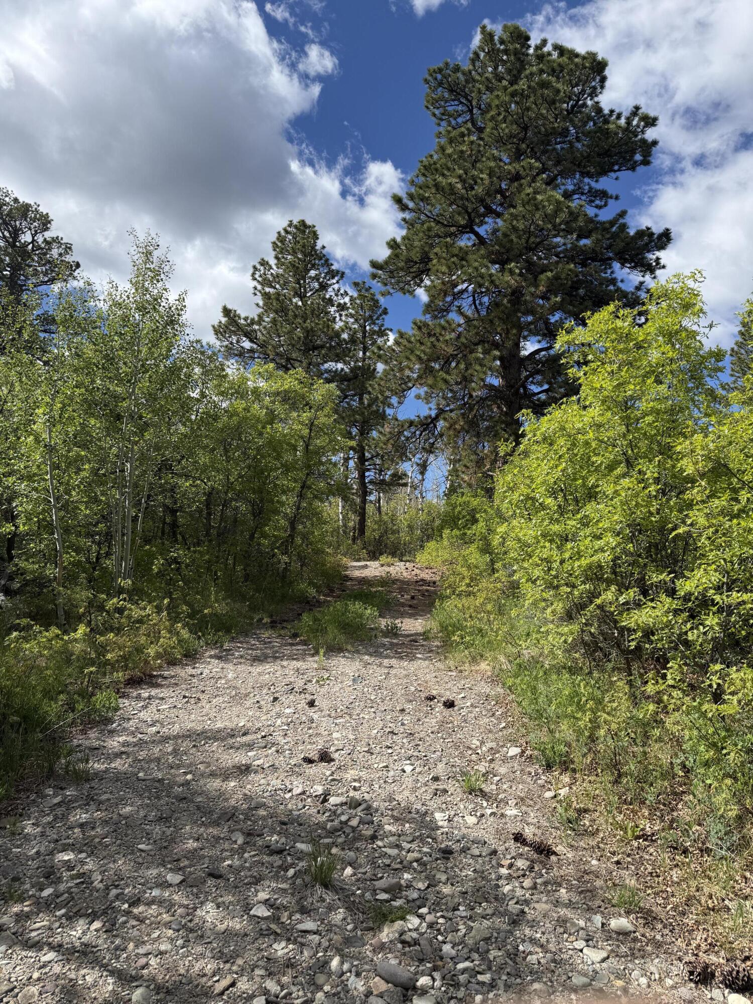 6 Little Lake Ranch Drive. Property Photo 37