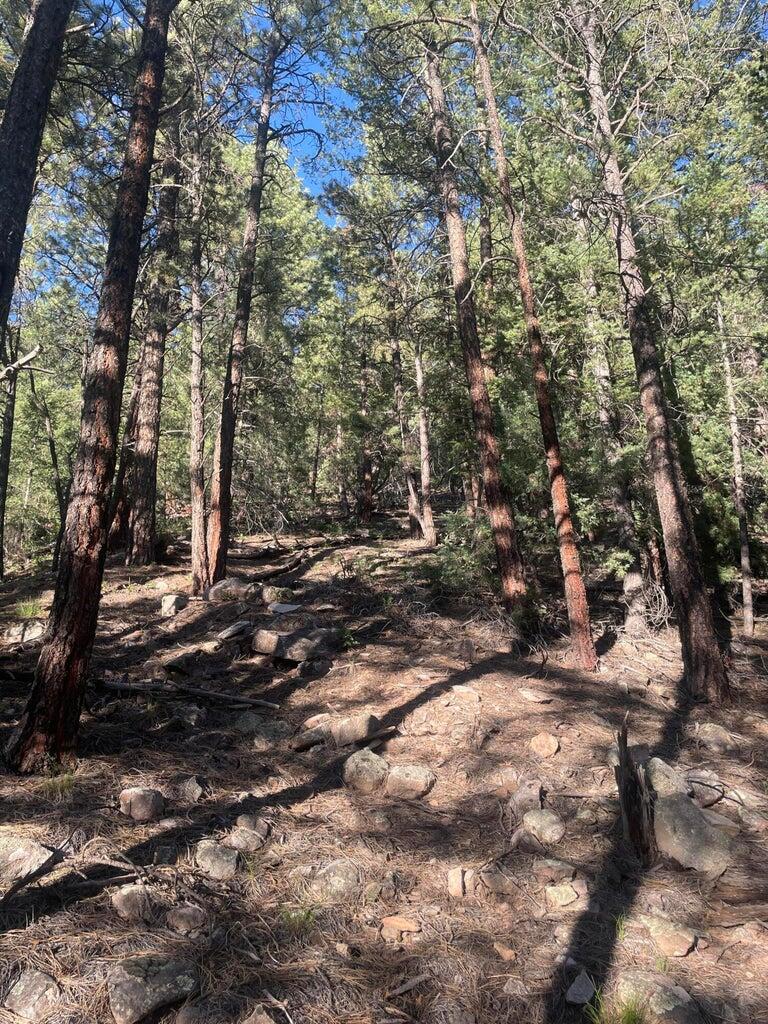 1 58p Road Property Photo 8