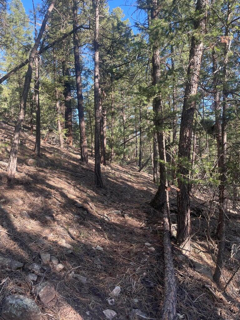 1 58p Road Property Photo 12