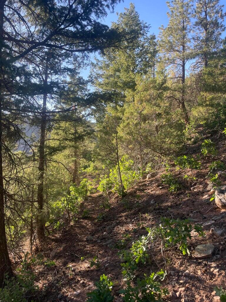 1 58p Road Property Photo 24