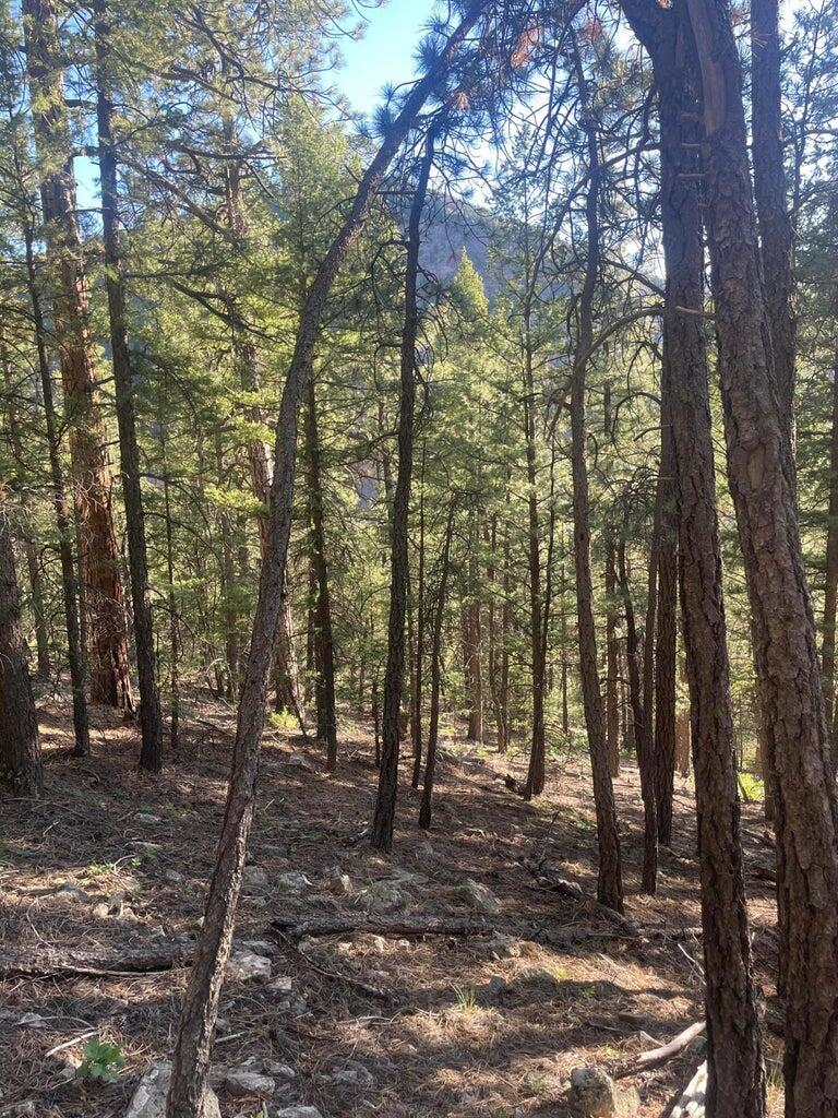 1 58p Road Property Photo 25