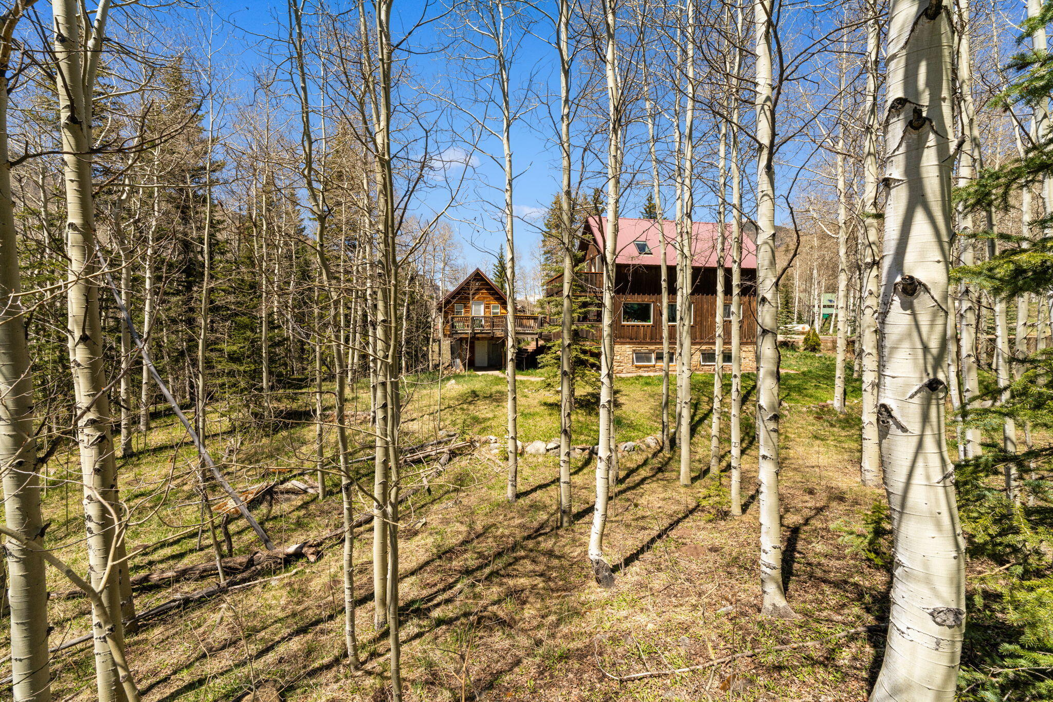 454 Silverglance Way Property Photo 9