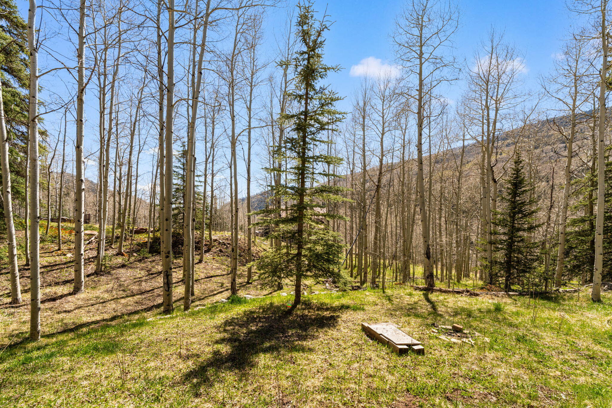 454 Silverglance Way Property Photo 12