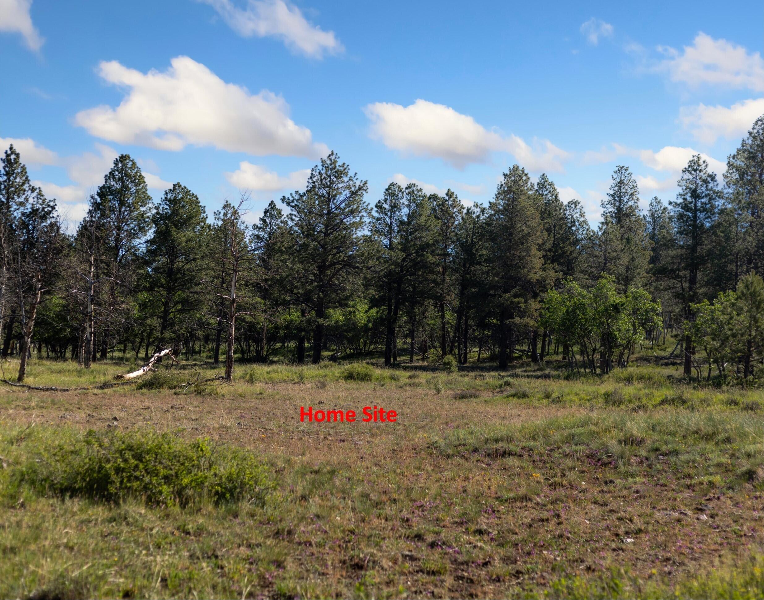 2991 Brown Ranch Road Property Photo 5