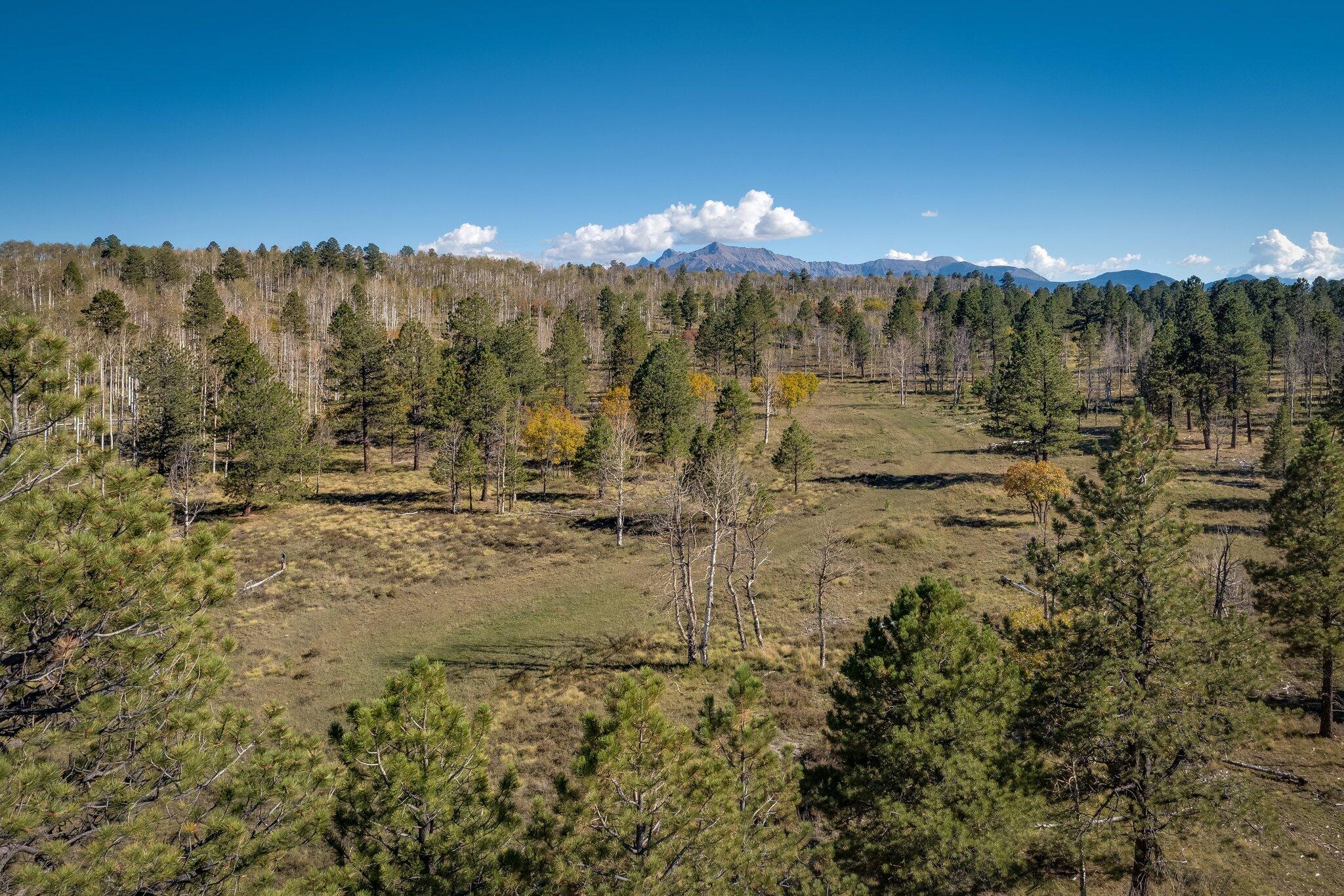2991 Brown Ranch Road Property Photo 11