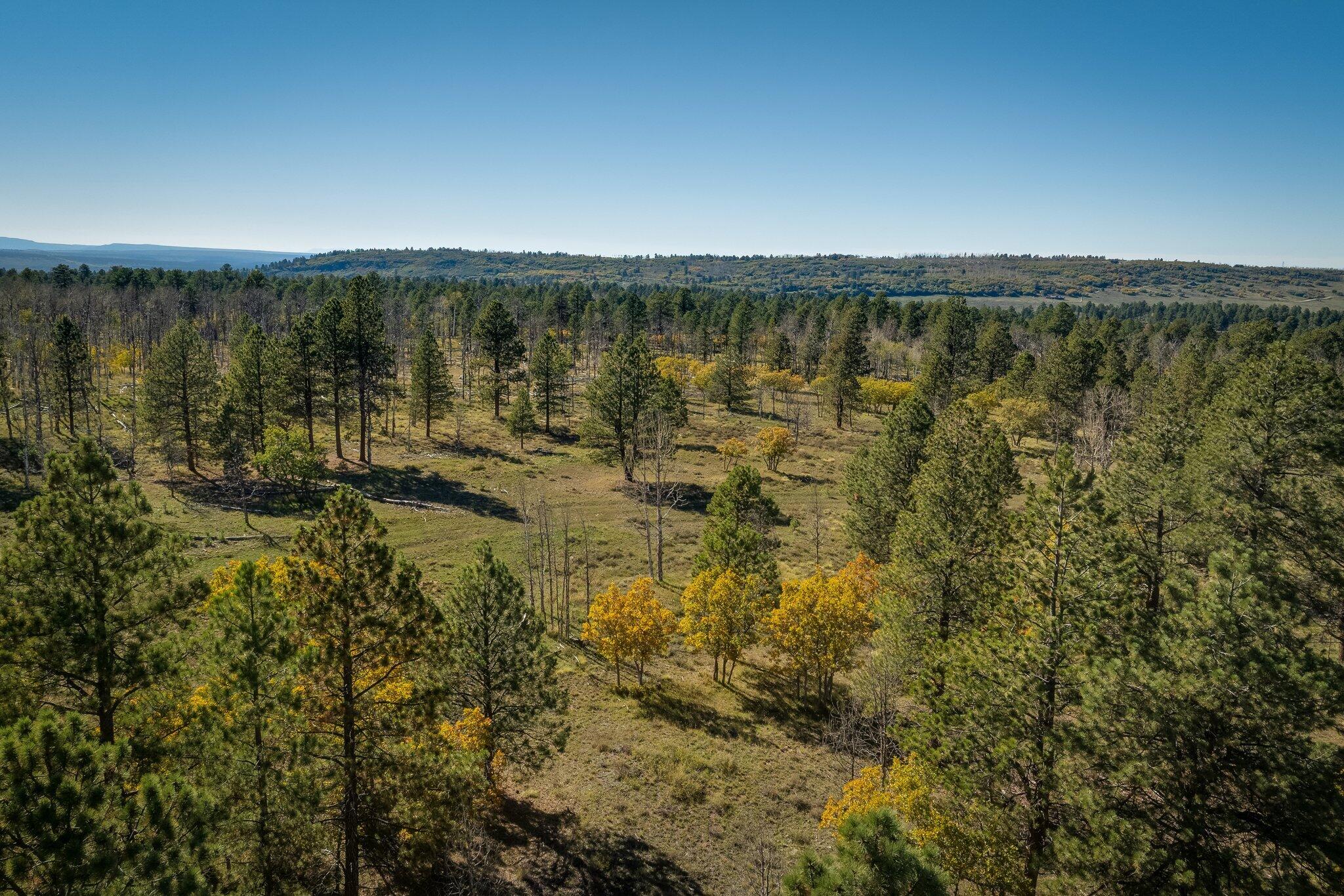 2991 Brown Ranch Road Property Photo 12