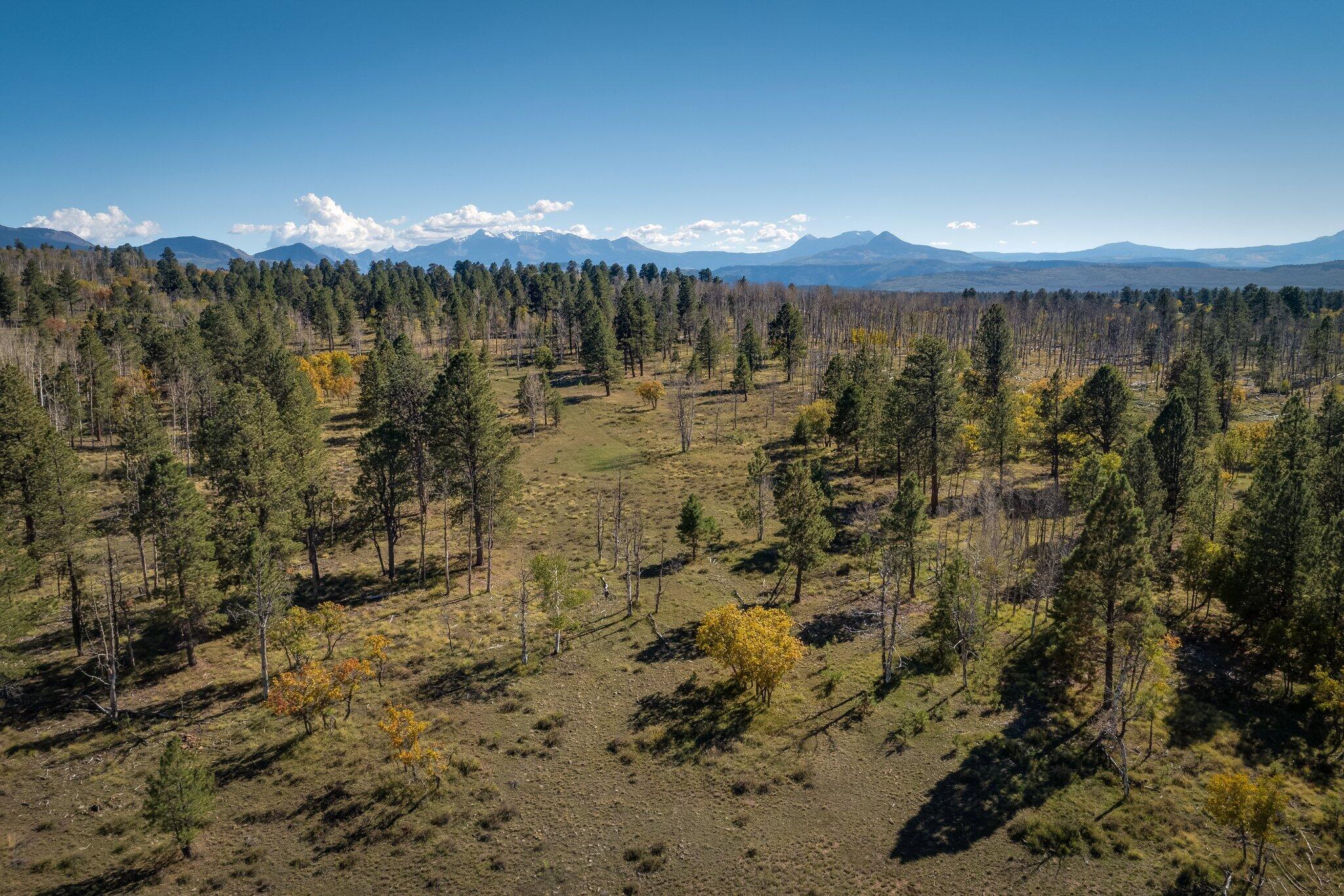 2991 Brown Ranch Road Property Photo 13